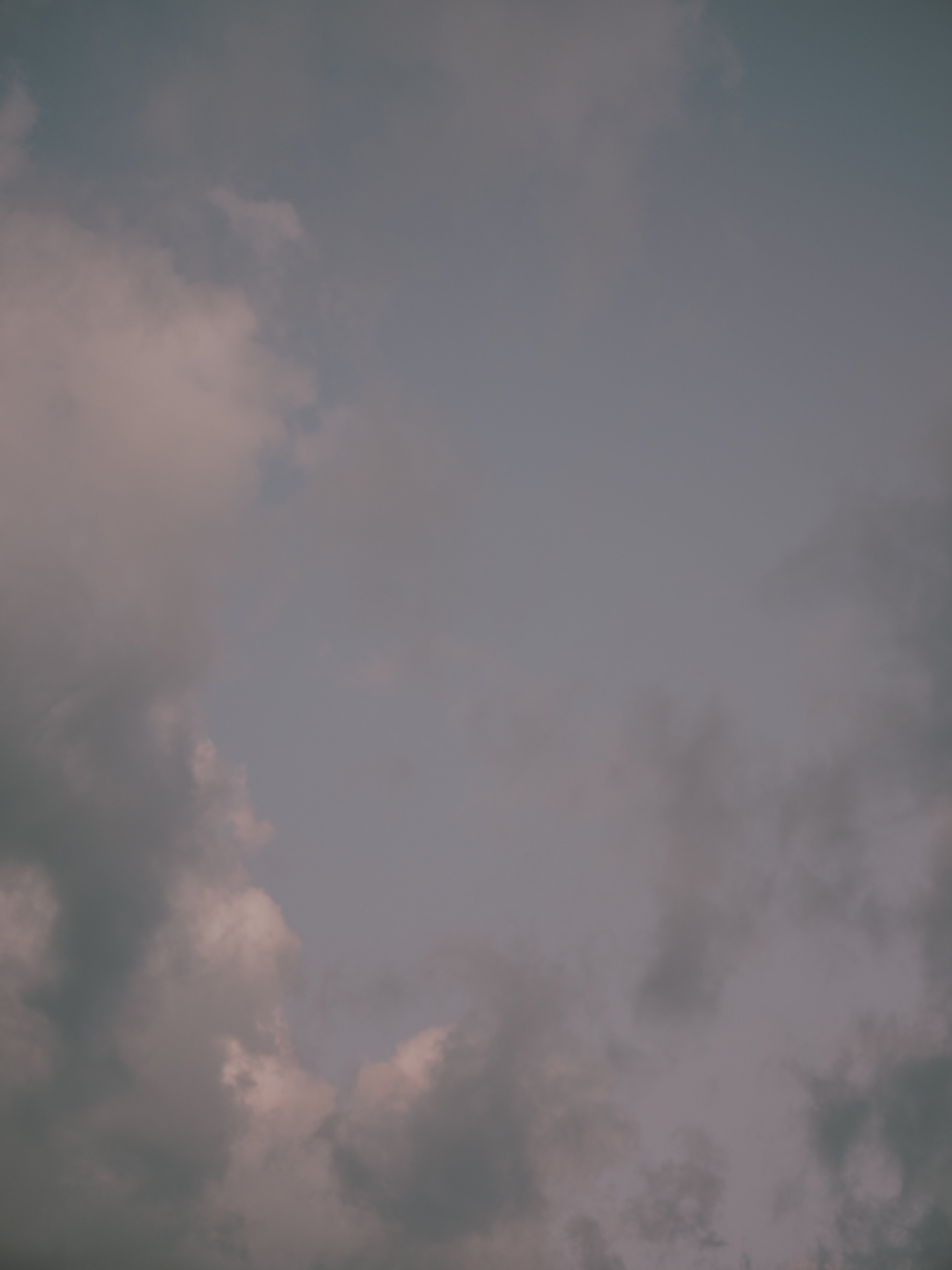 S31˚