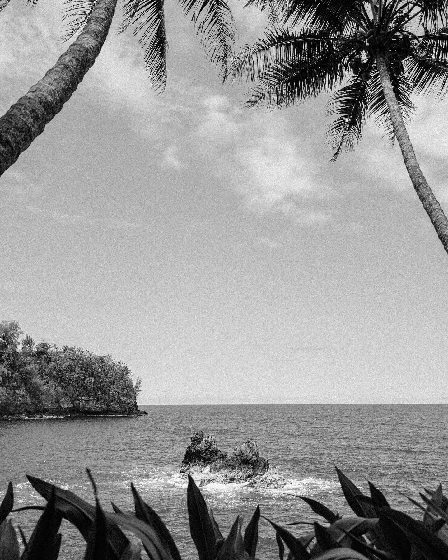 the ocean air is calling ♒︎ manifesting another beach getaway

#beachvibes #hawaii #bigisland #bigislandhawaii #oceanlover #blackandwhitephotography #leica #leicaphotography #leicacamera @leica_camera @leicacamerausa #travelphotography #travel #conde