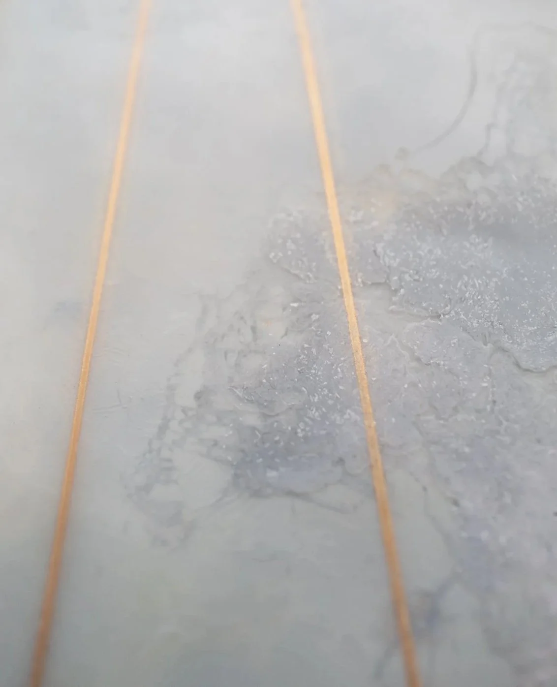 H1071820.jpg