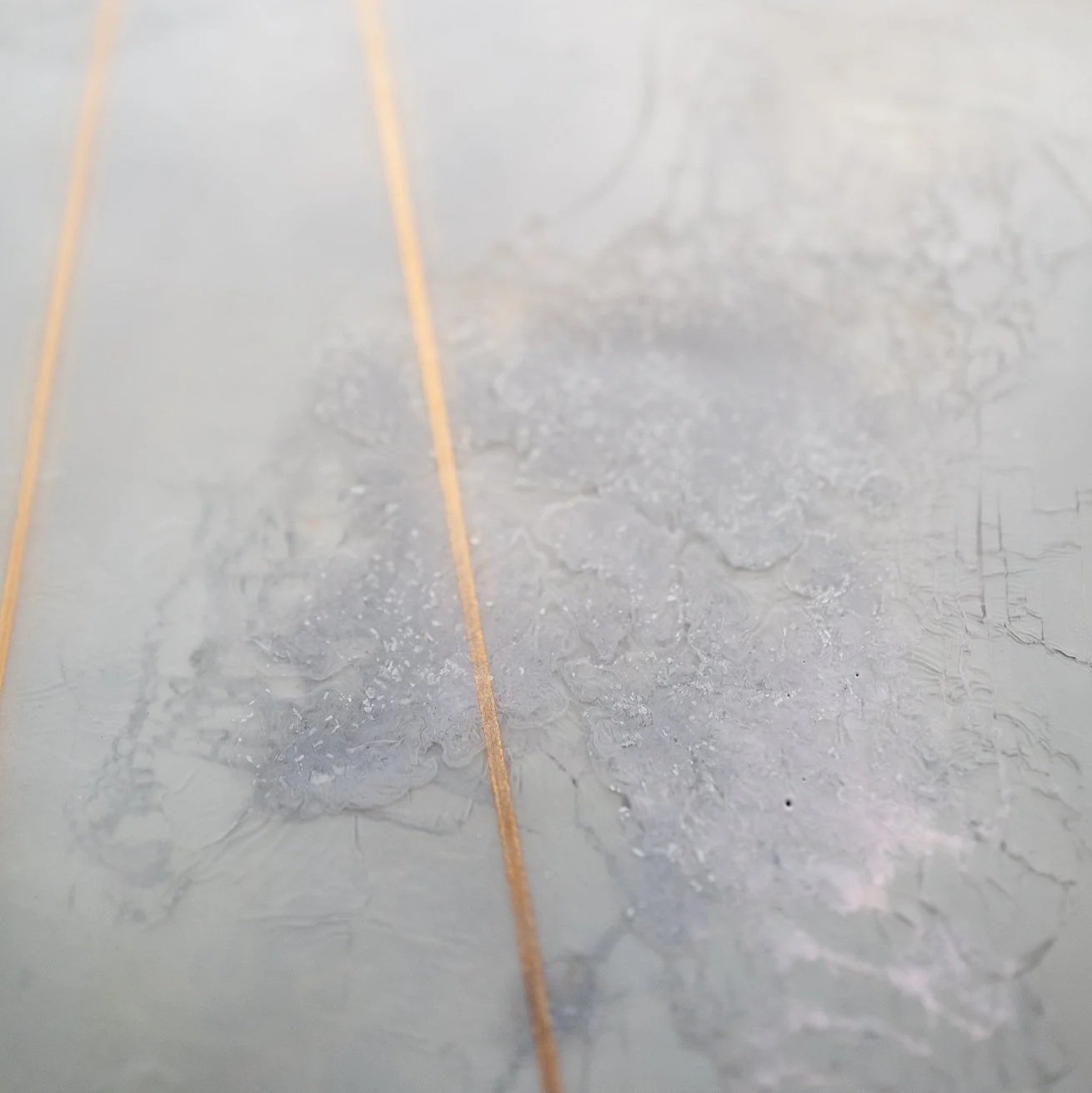 H1071821.jpg