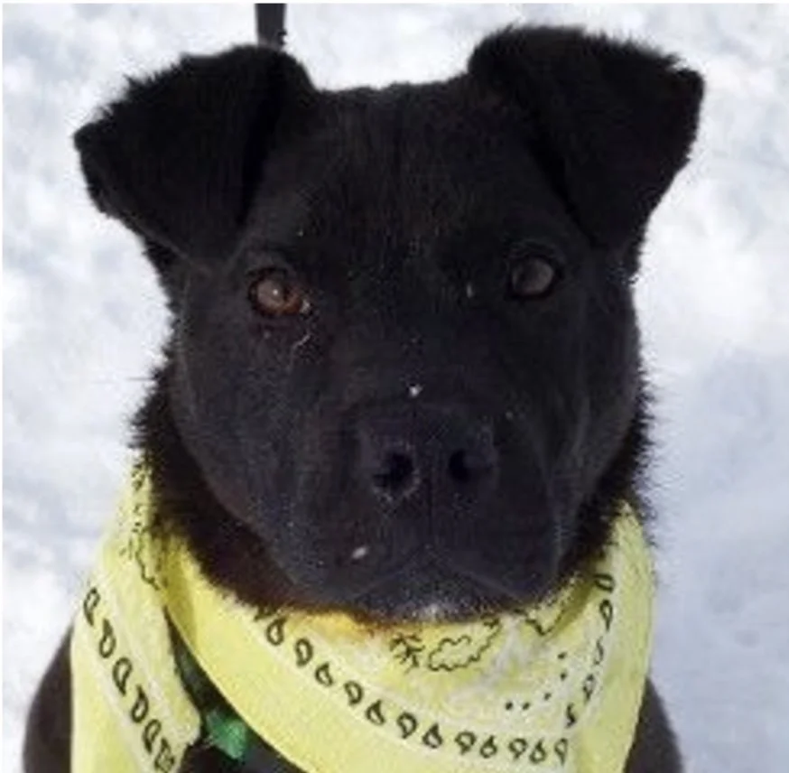 Image 1-10-25 at 9.38 AM.jpeg