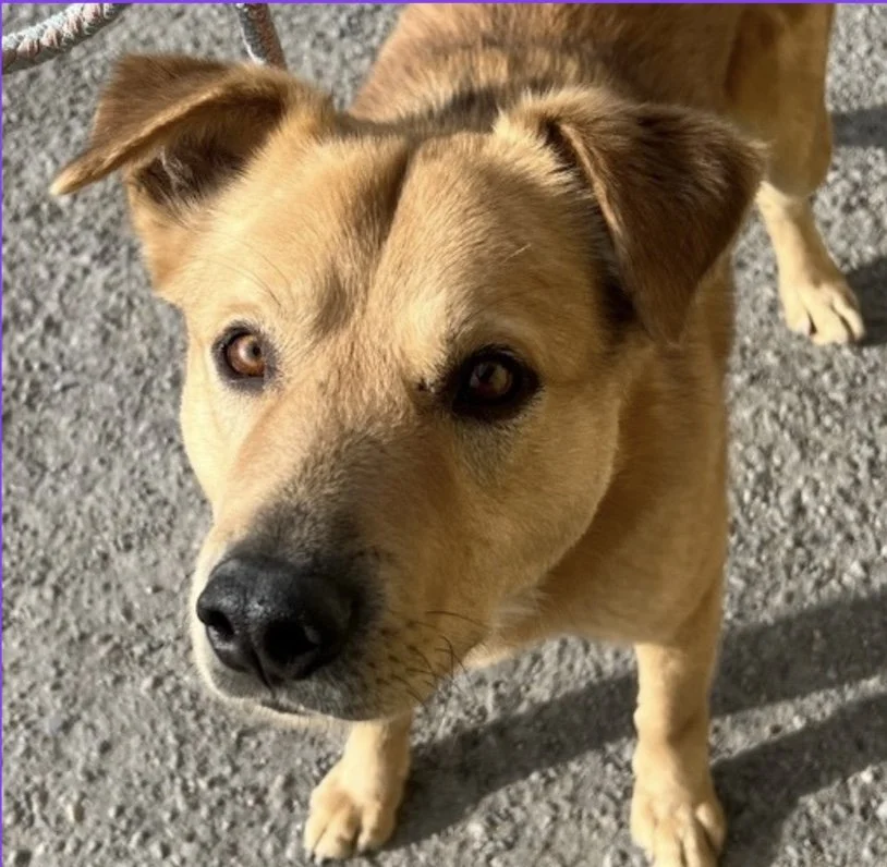 Image 1-10-25 at 9.33 AM.jpeg