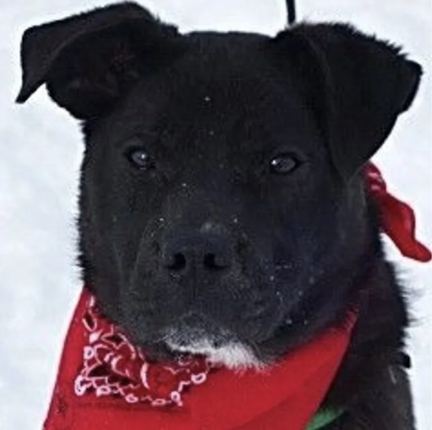 Image 1-10-25 at 9.40 AM.jpeg