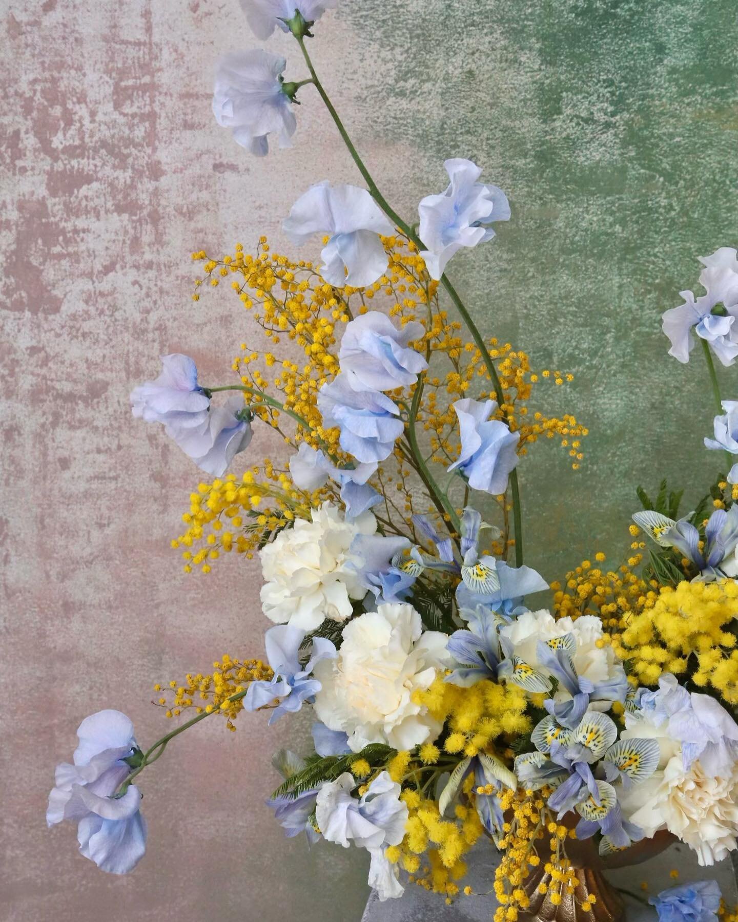 Japanese Sweet Pea x Mini irises 💙💛 a very spring combination.

Vessel @accentdecorinc 
Flowers @thefloralreserve 

#underthefloralspell #accentdecor #myaccentdecor #springflowers🌸 #floristik #floristy #weddingmoodboard