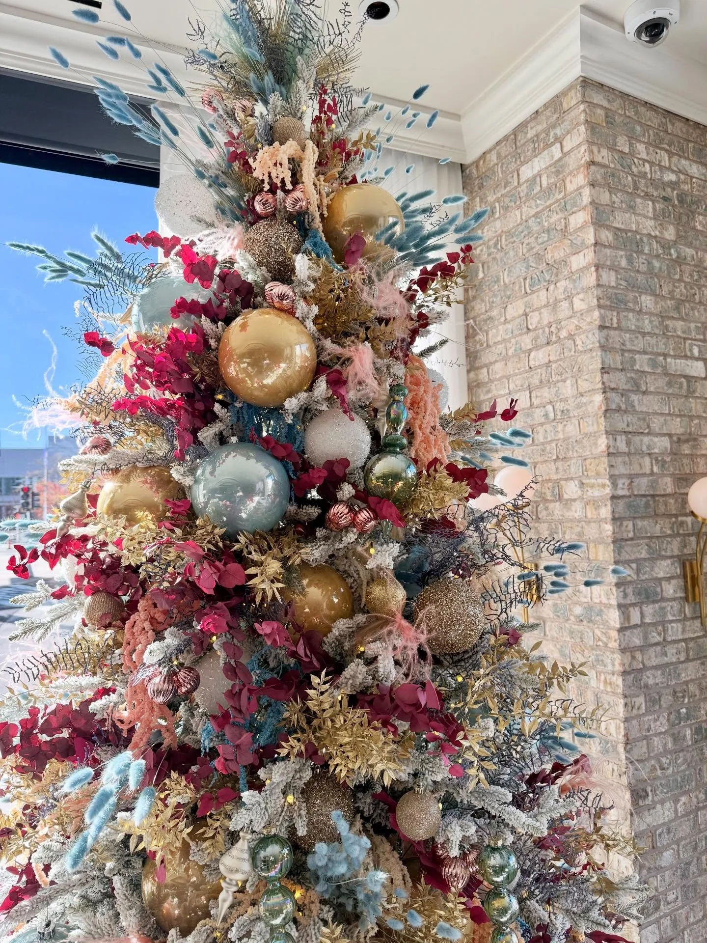 🎀A very Coquette Christmas🎀

Venue @coquetteboston