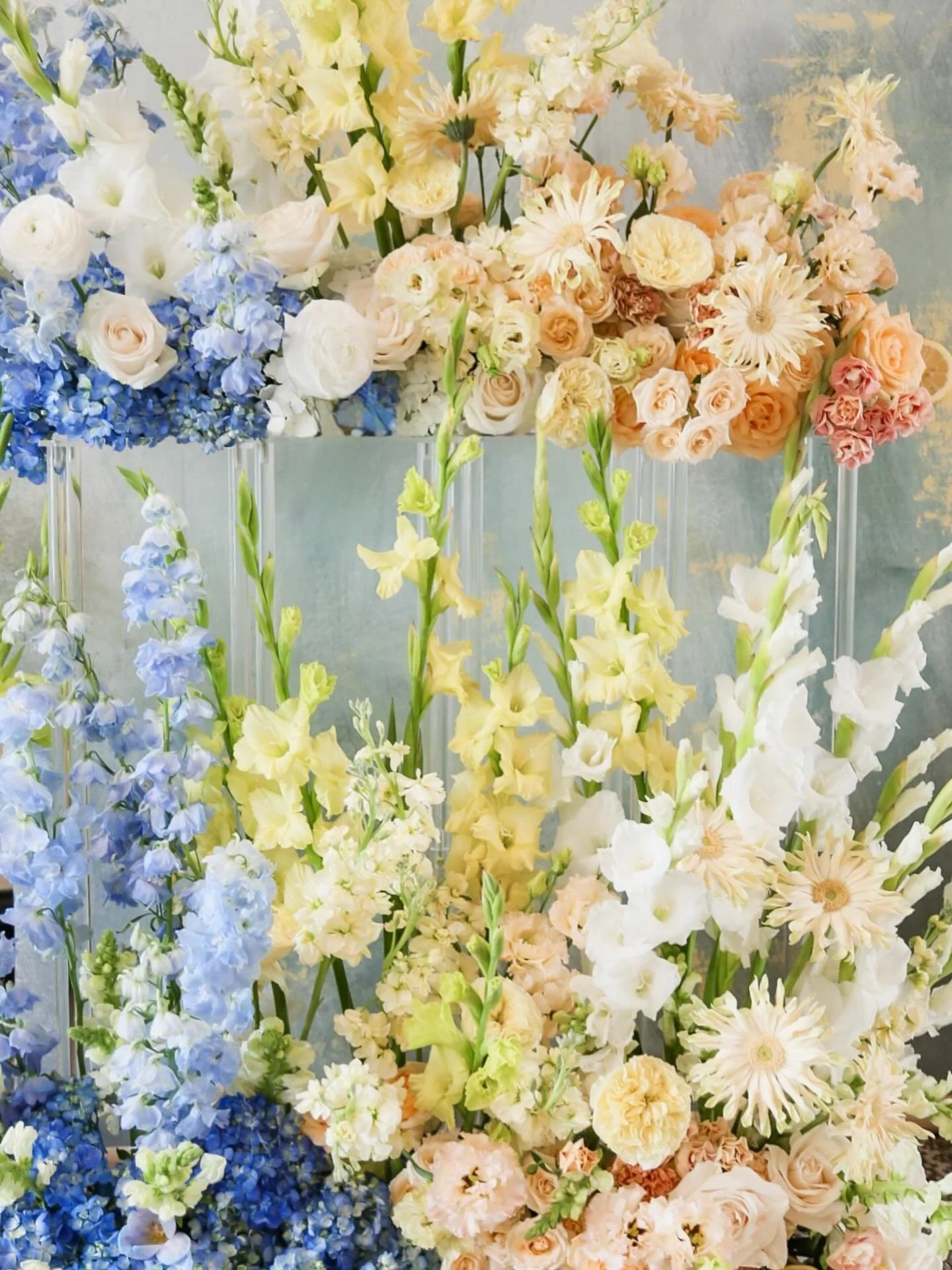 🍋🍊Citrus spring🍋🍊