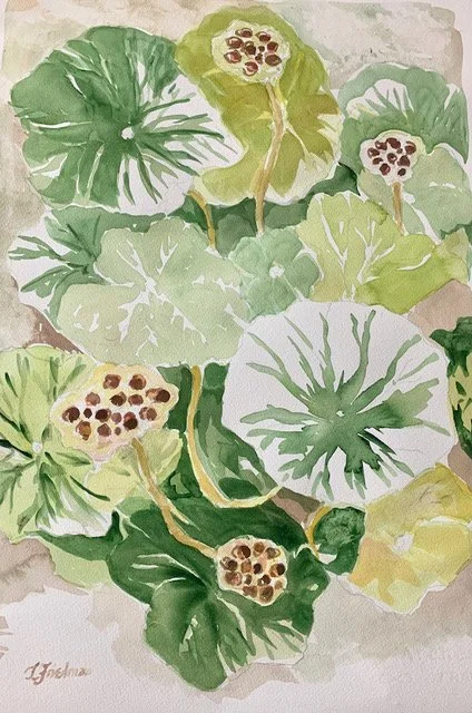 Summer In The Lotus Garden