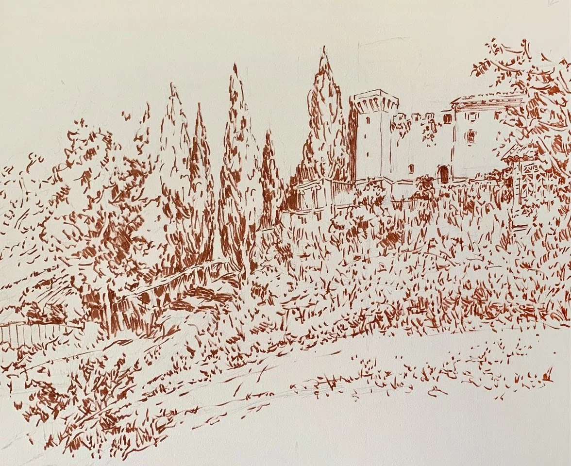 Vescovo & Cypresses  Brush & ink 20 × 26 2024