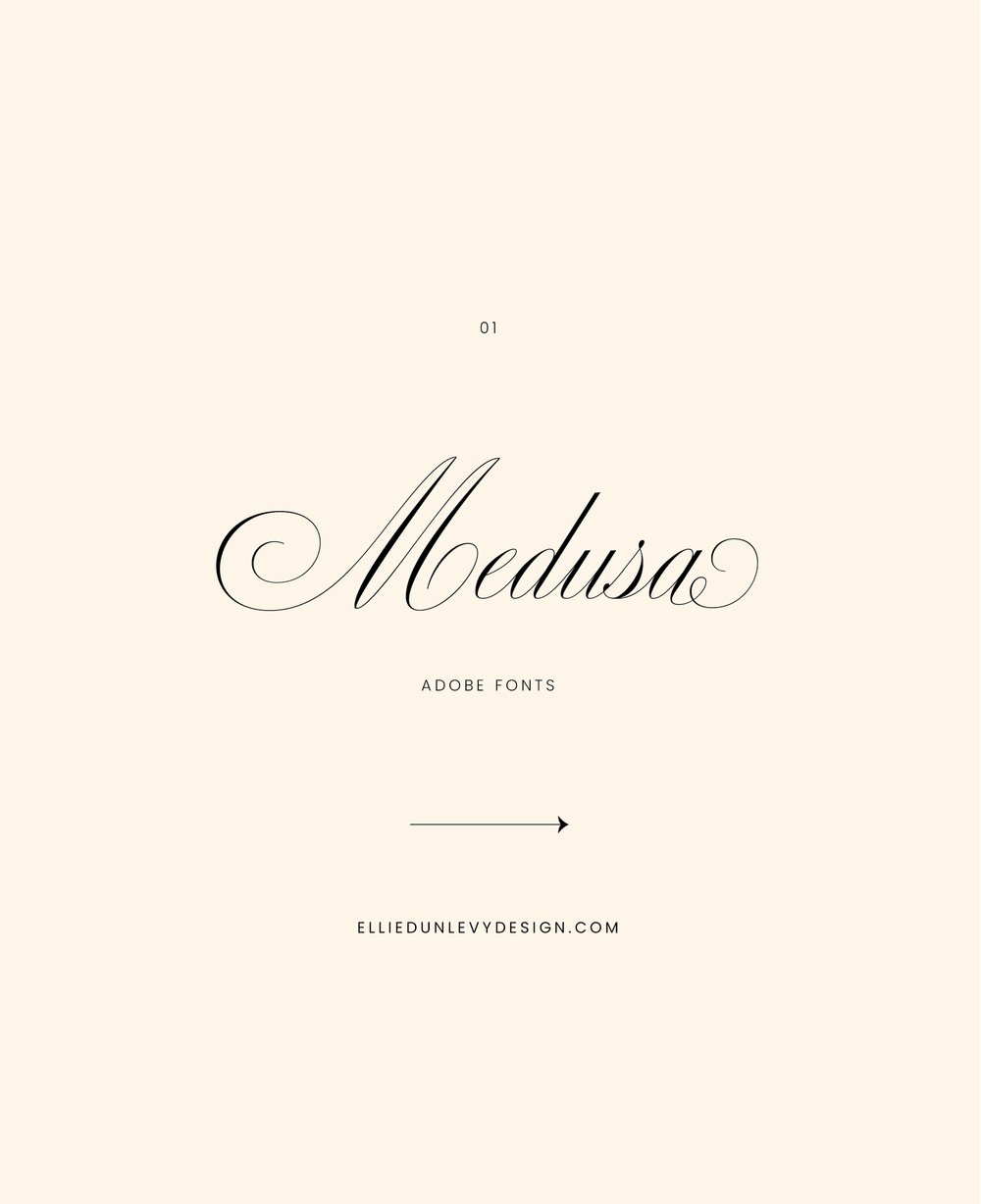Script Fonts for Feminine Brands — Ellie Dunlevy Design