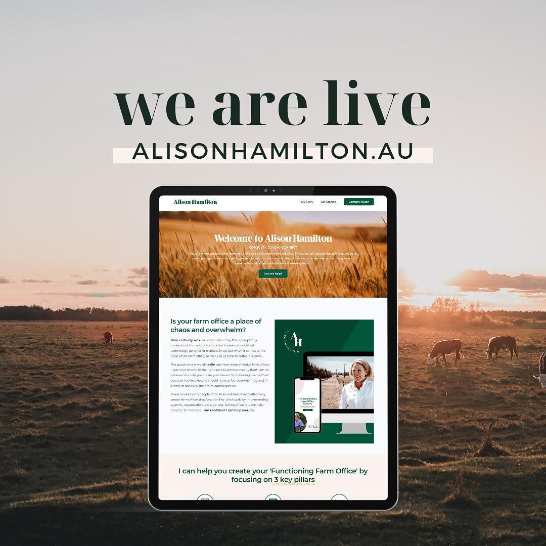 It&rsquo;s official ✨ My wonderful long-time client Alison Hamilton @mcintoshalison launched her brand new website this morning and I&rsquo;m super proud to say I had a hand in designing the look of this site alongside web developer Wagga IT. Jumping