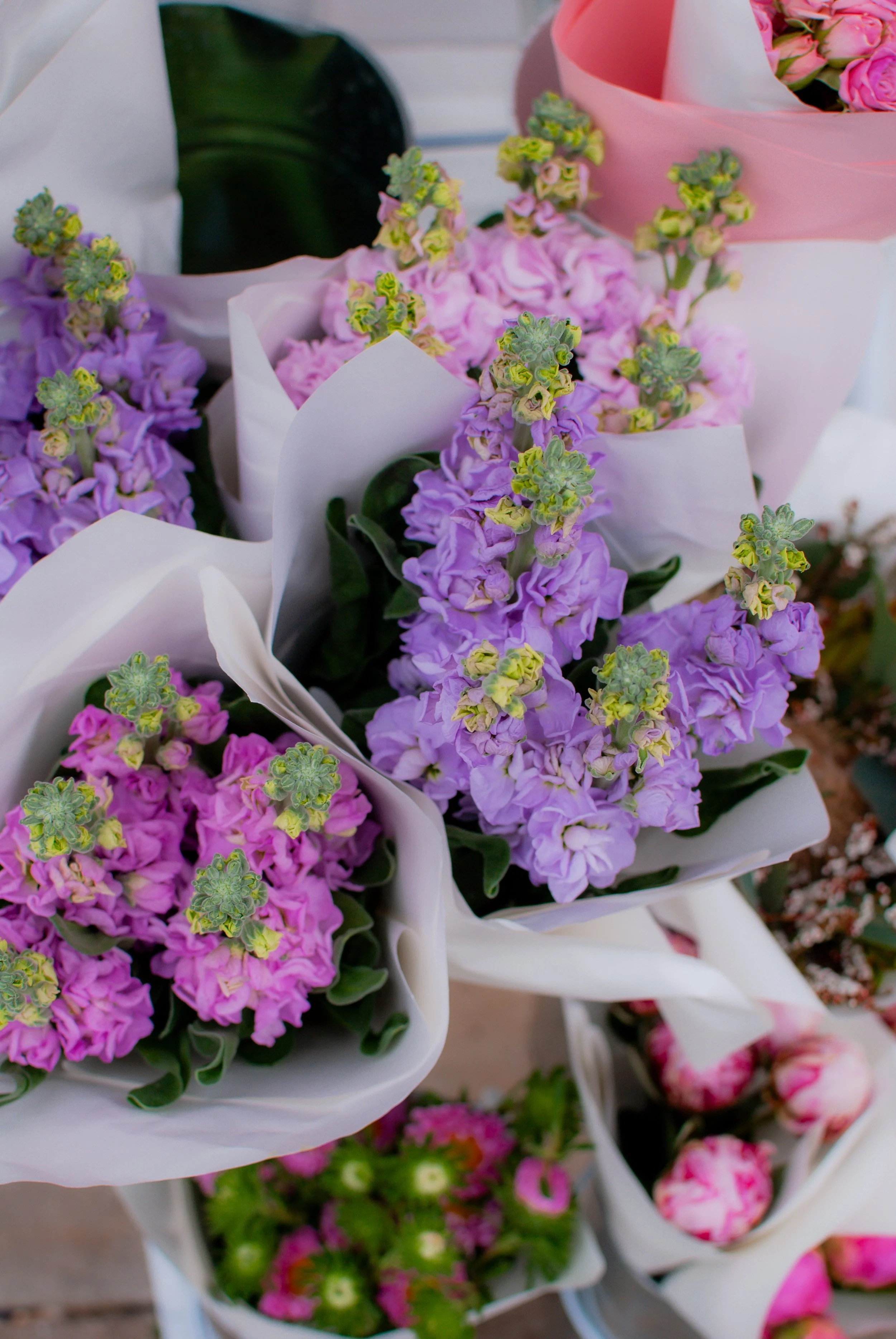 Posies-2905.jpg