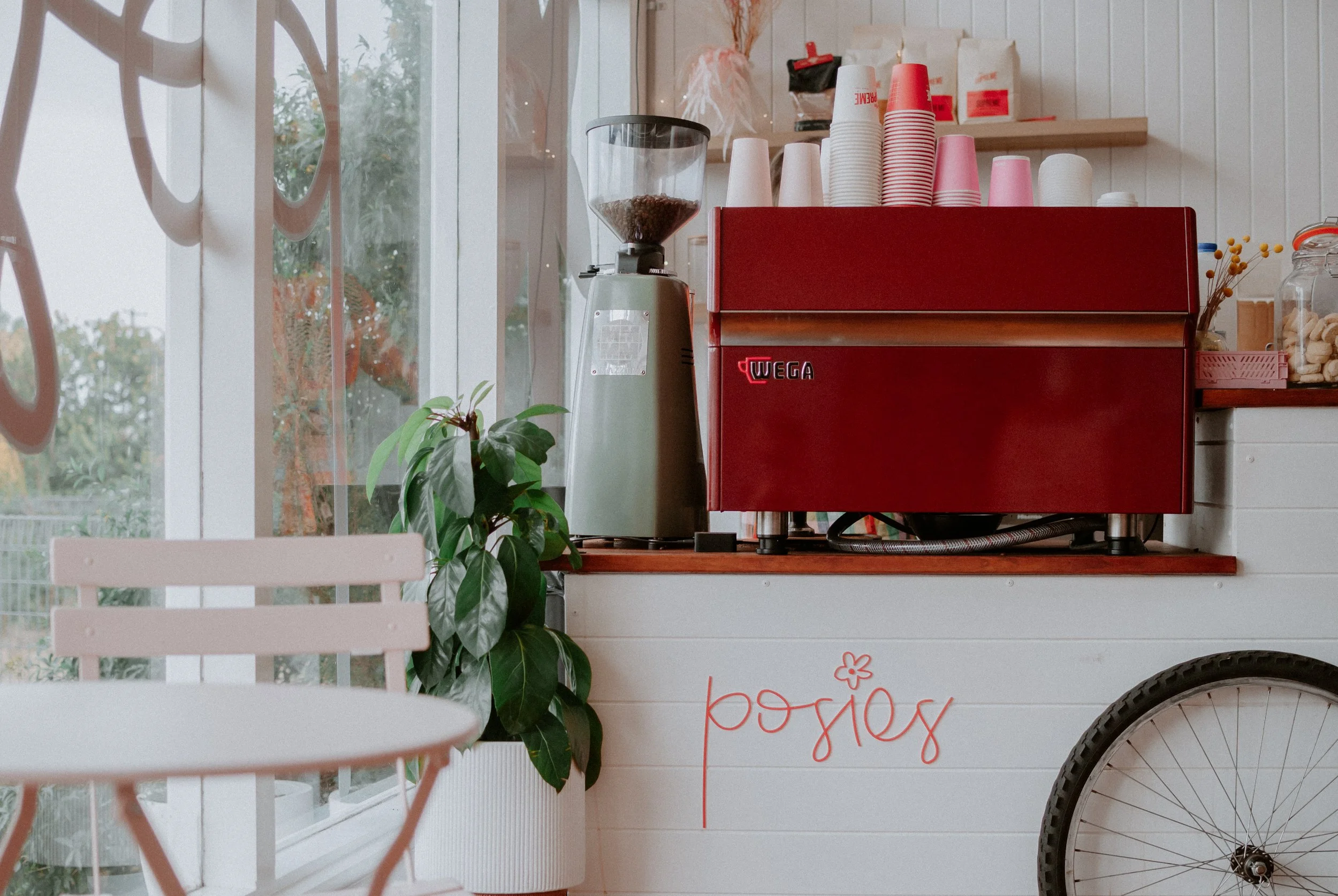 Posies-2881.jpg