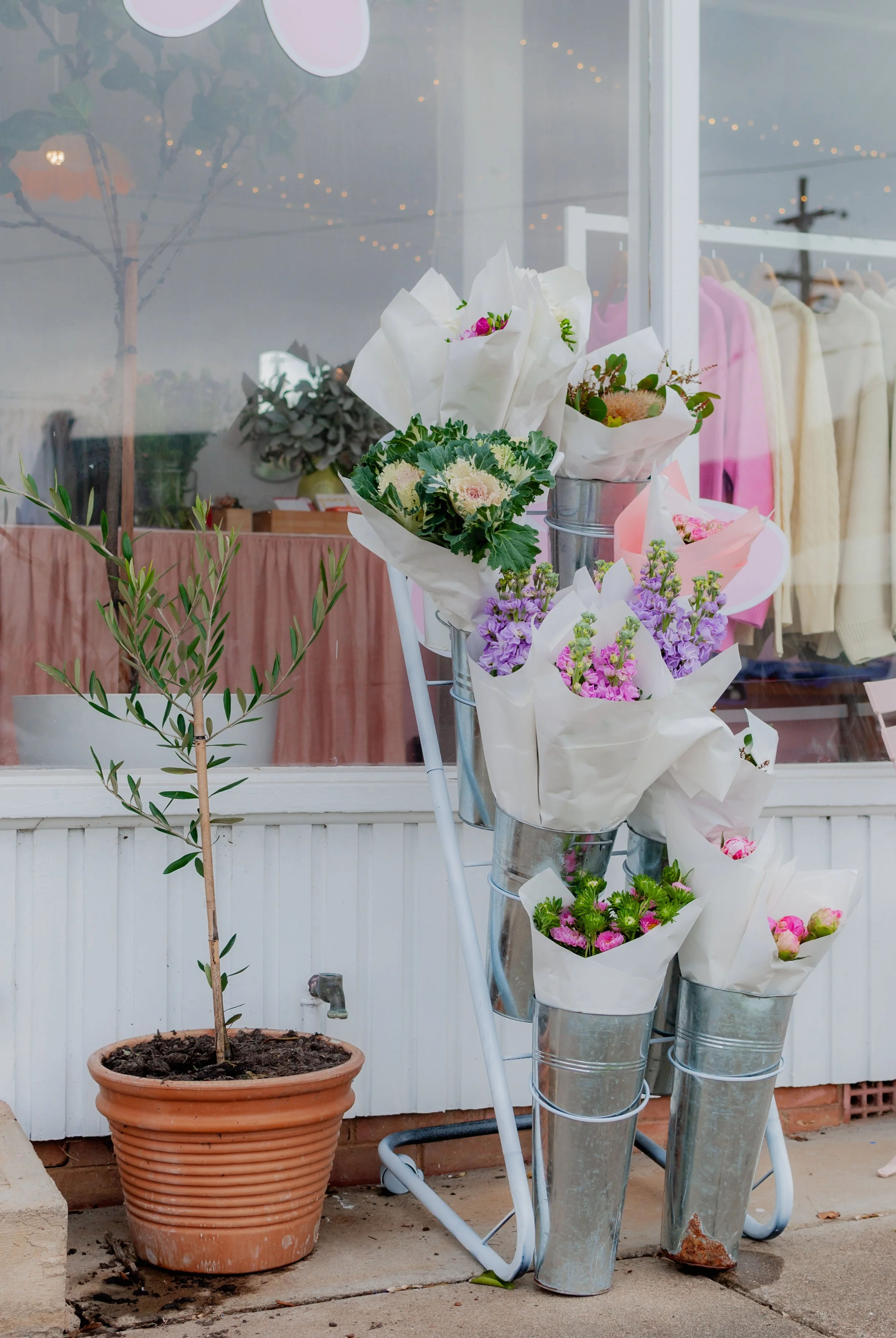 Posies-2894.jpg