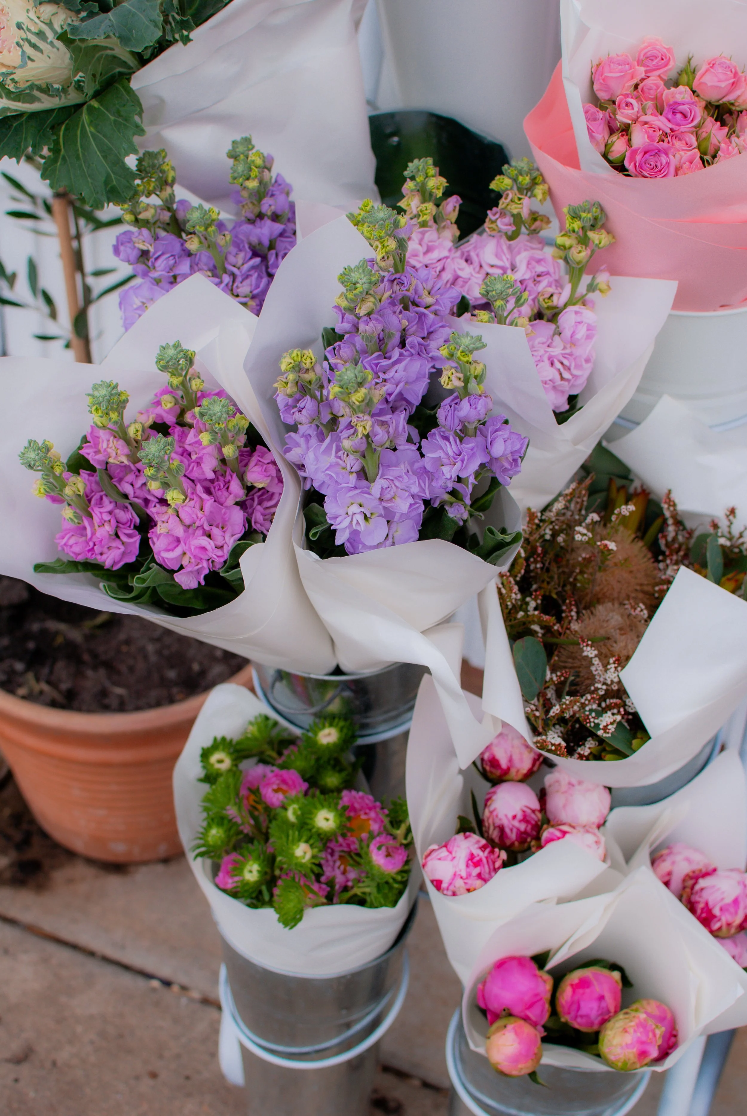 Posies-2896.jpg