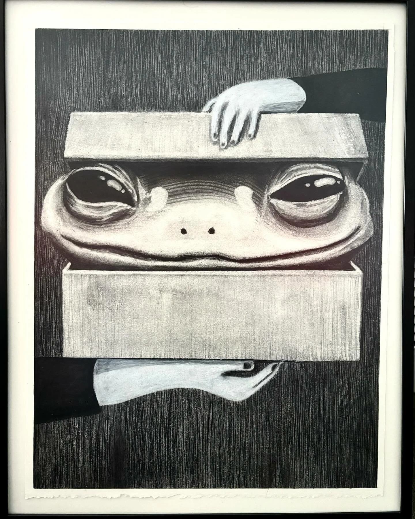 &ldquo;Summer Friends&rdquo; 12x16 Graphite, Charcoal and Conte Crayon on paper.
A piece made for @ddaatteelliinnee DILF (Damn I Love Frogs) show!
I wanted it to be soft and cute while being slightly insidious. Like a child bringing home a cute pet, 