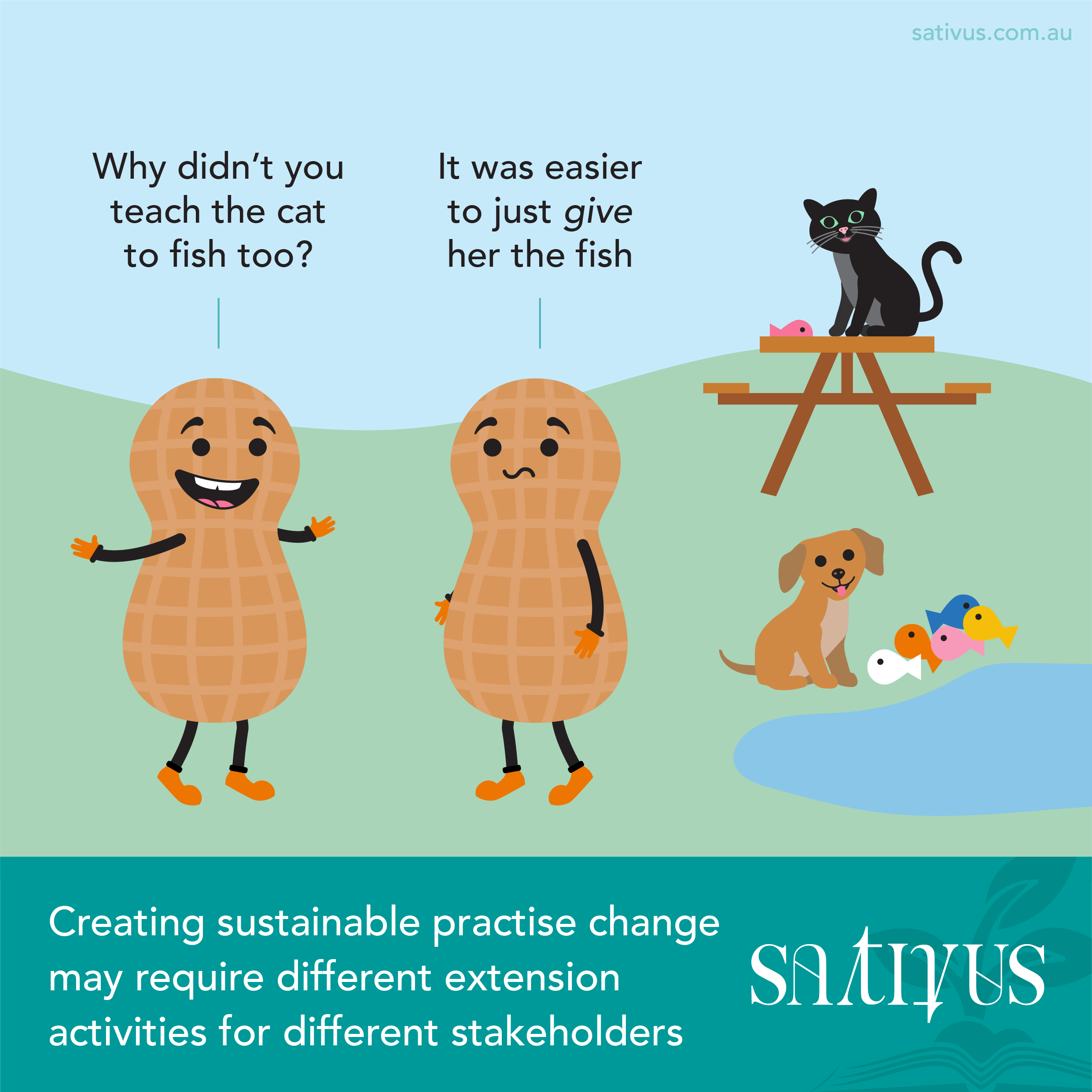 Sativus-illustration-by-Paper-and-Desk