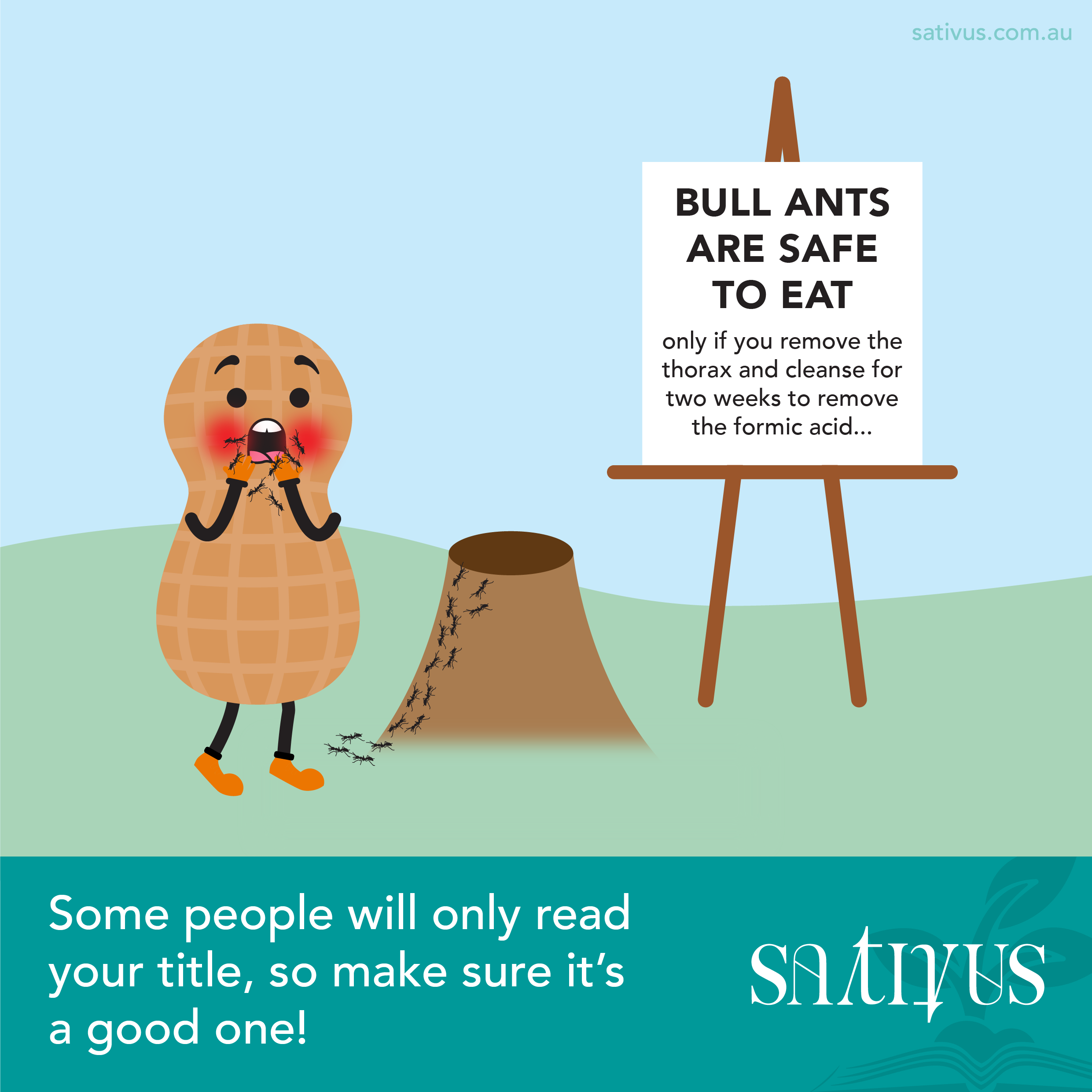 Sativus-illustration-by-Paper-and-Desk