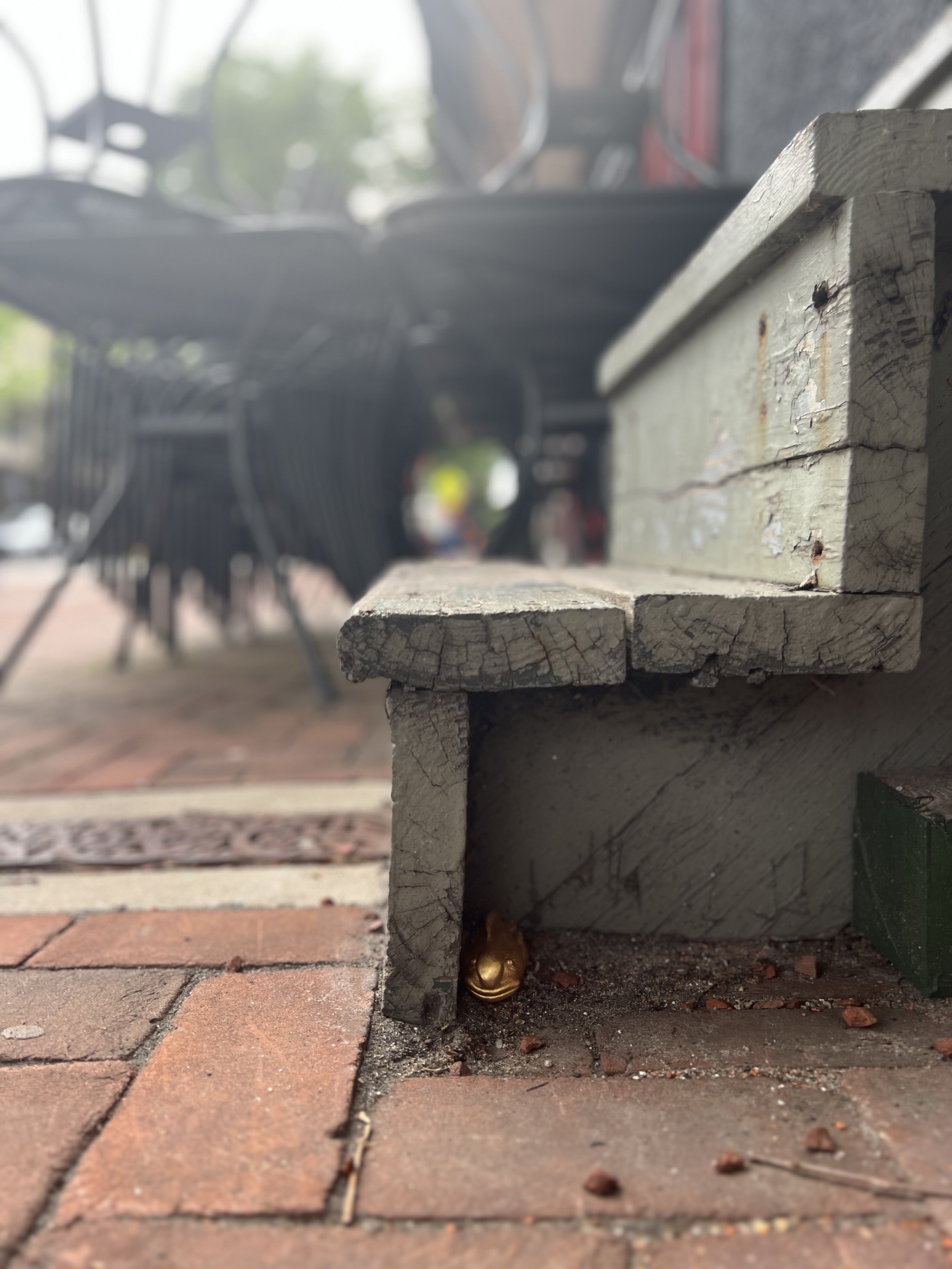 IMG_5021.jpeg