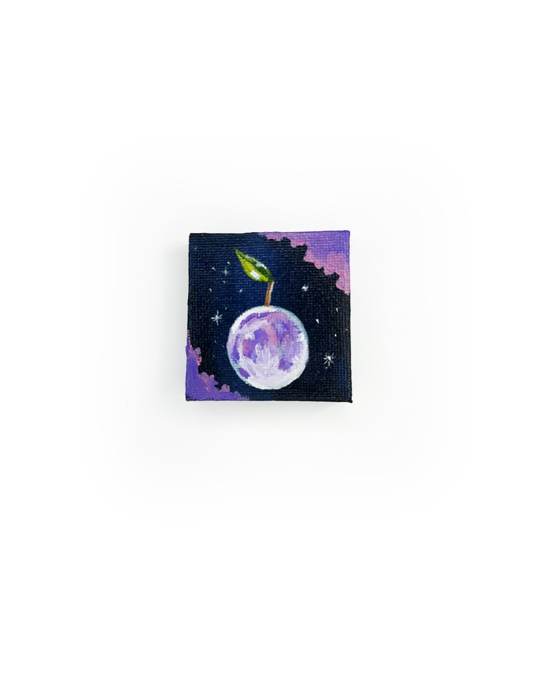 Micro Cosmic Apple Magnet