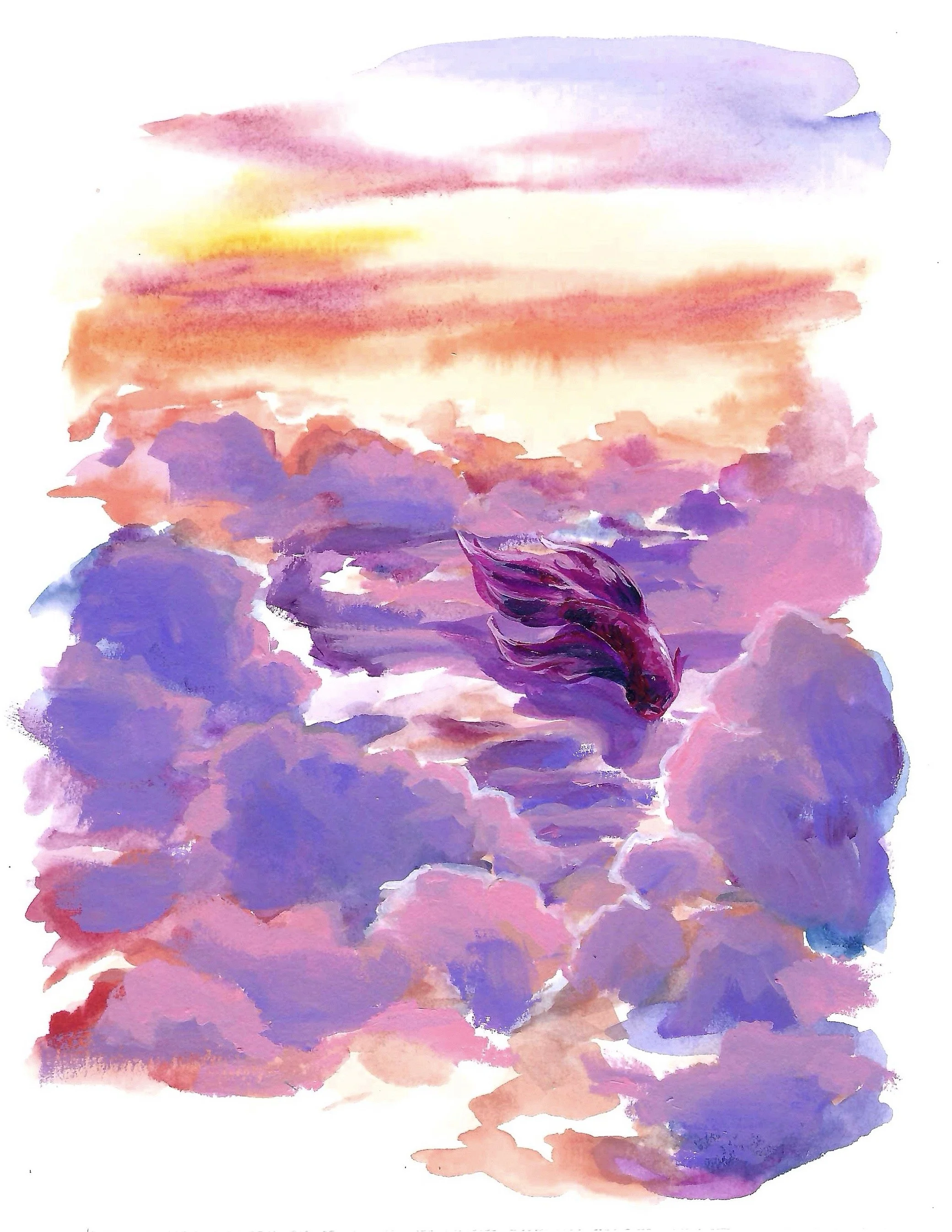 Clouds