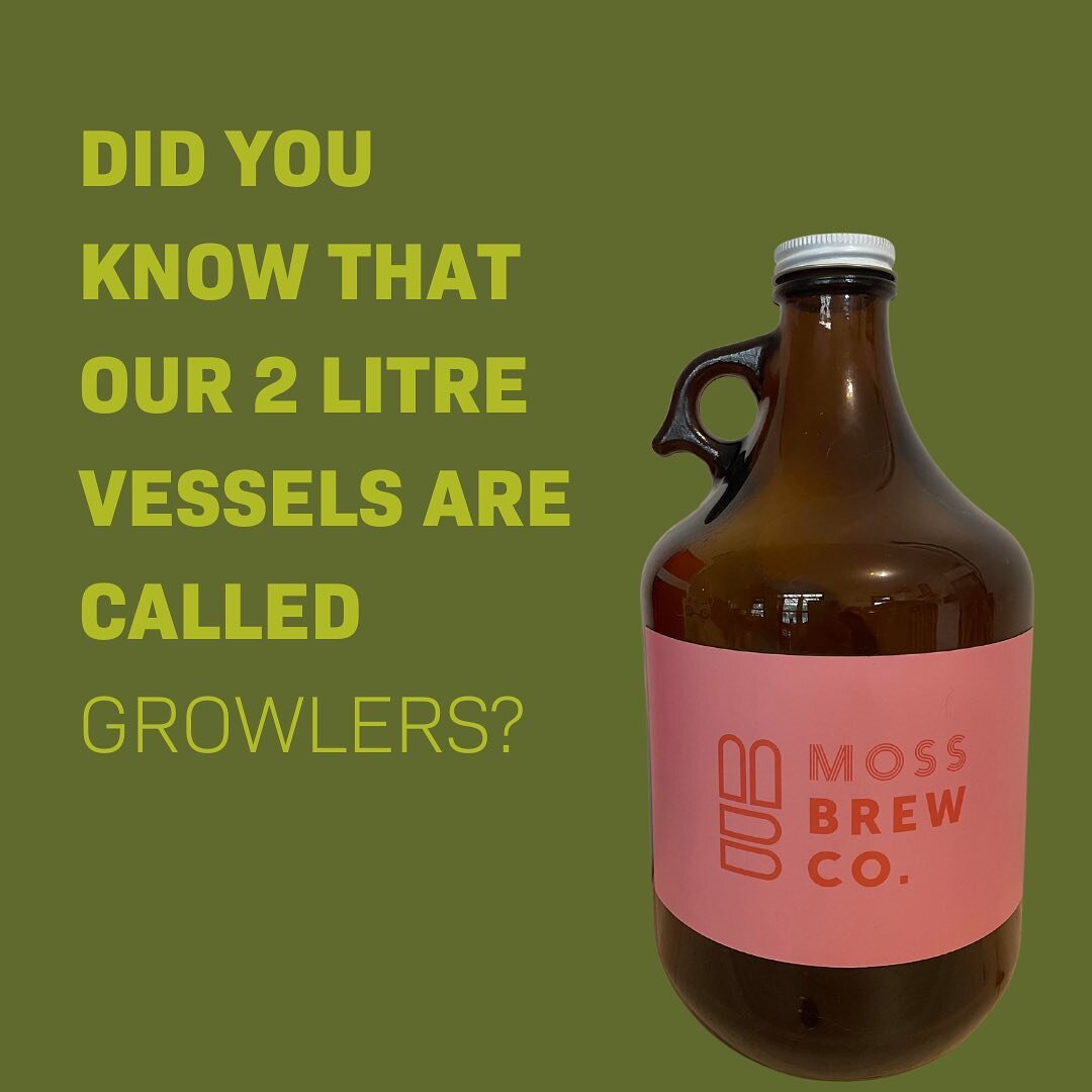 Growlers are used worldwide for a great way to refill ya fave beverage! If 2L is a Growler&hellip;any guesses what a 1L is called??????? #kombucharefills #sustainability #washandreuse #mossbrewco #guthealth #lowsugardrinks #growler #growlerrefill