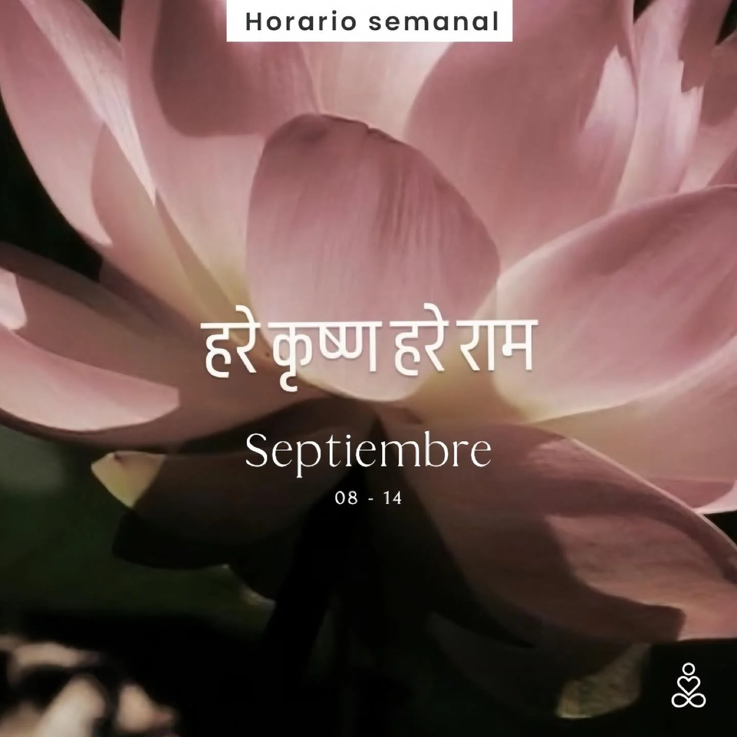 Nos vemos en el tapete esta semana✨🌗🌀

Reserva tus clases directamente en nuestro website 
🔗 www.samadhistudio.mx
🕉️🪷📿