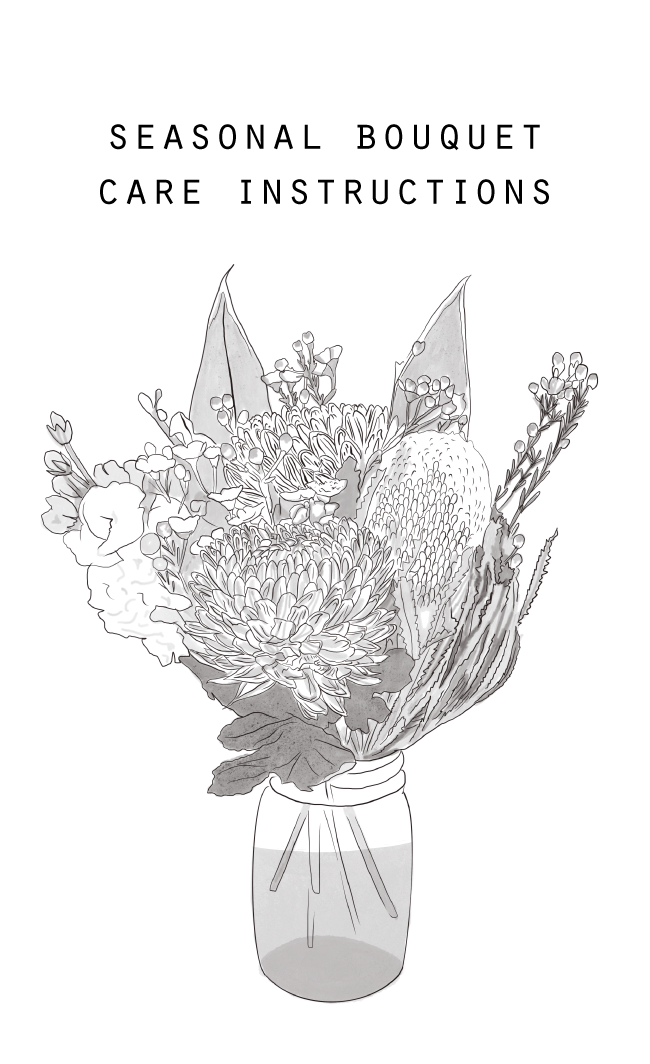 Care Instructions_seasonal front.png