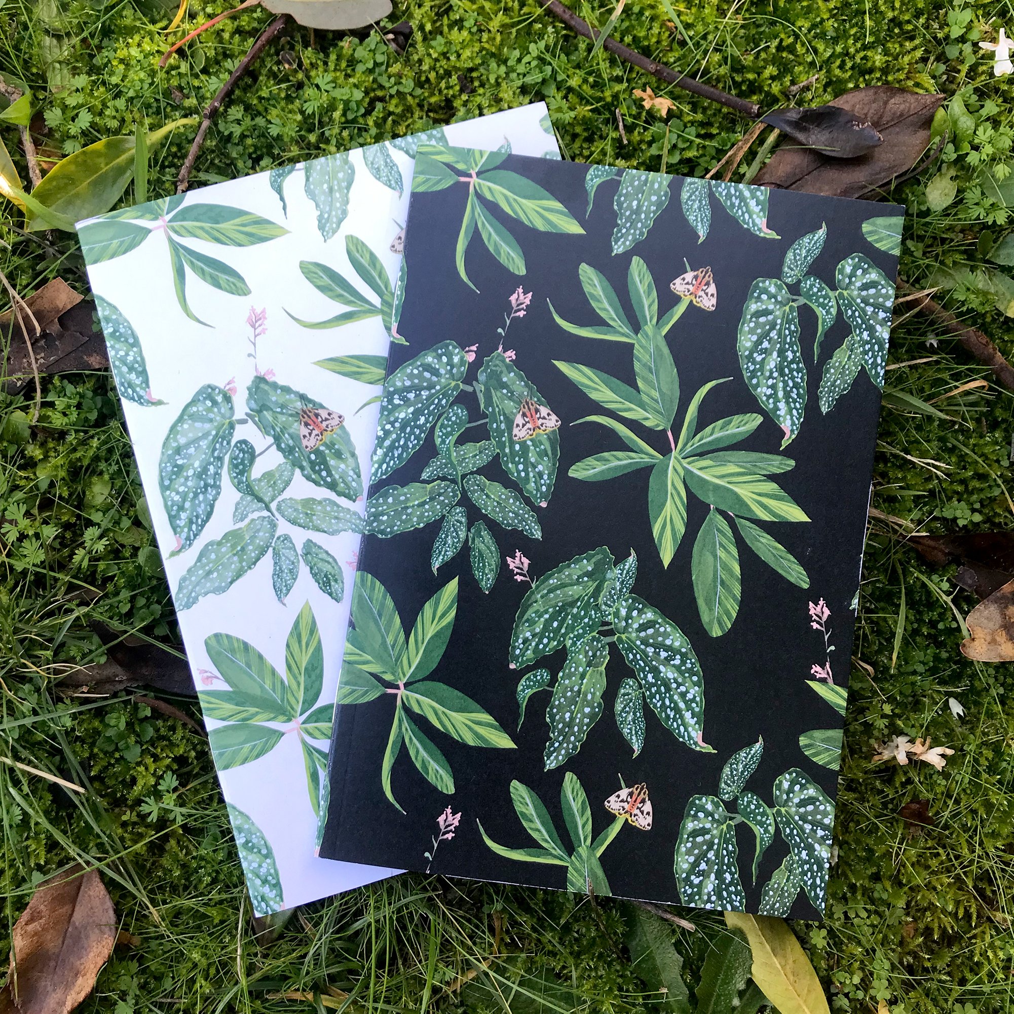 Moth and Plant notebook pair.jpg