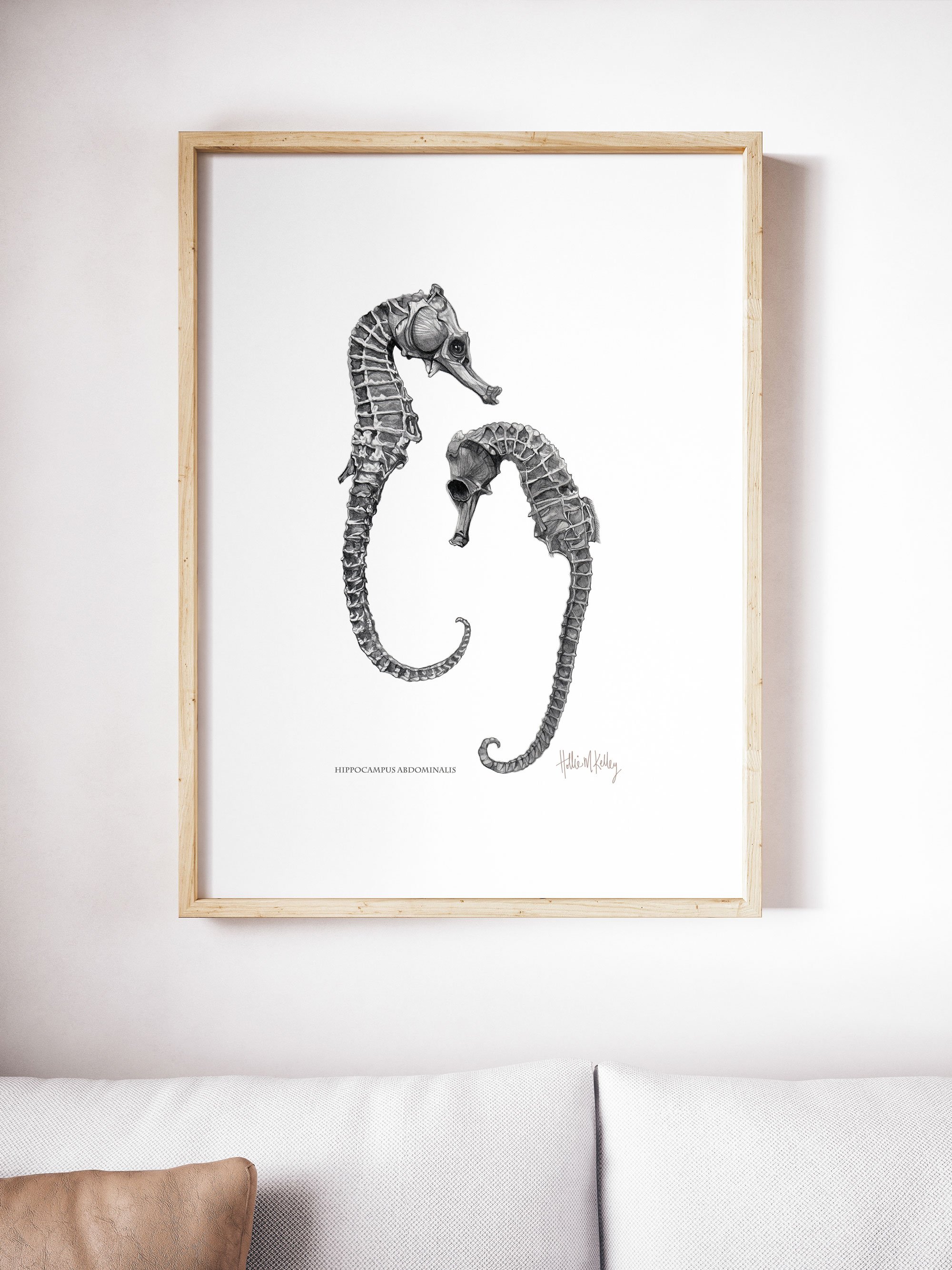 Hippocampus-abdominalis-print-a2-in-frame-web.jpg