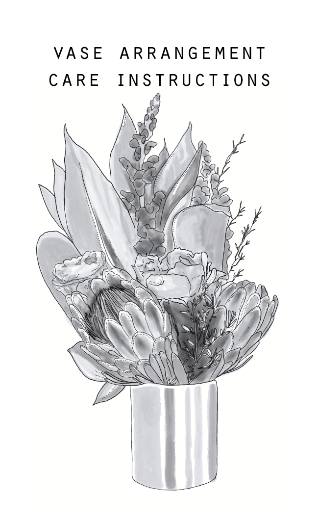 Care Instructions_vase front.png