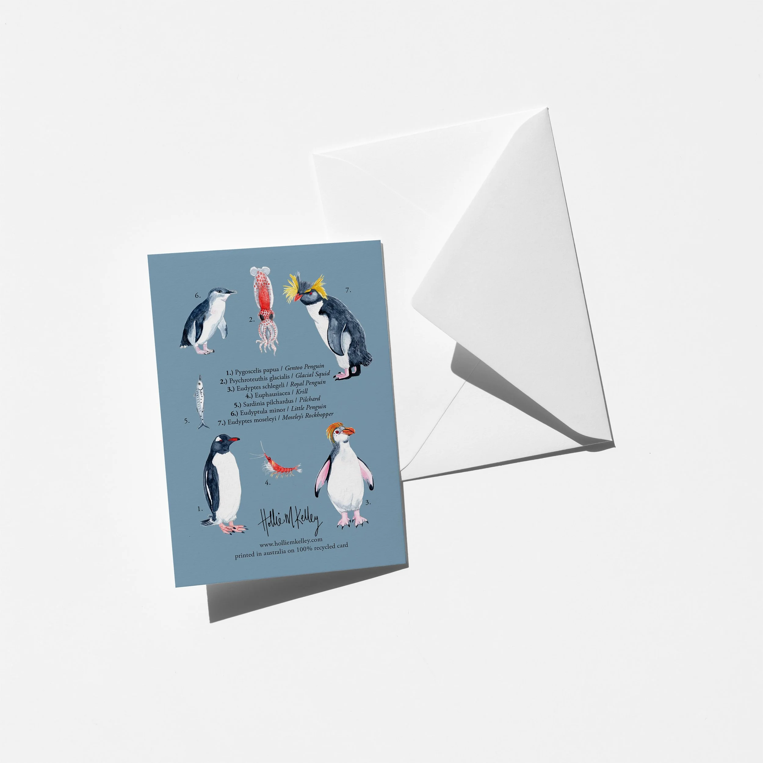 you are one in a krillion back white envelope.jpg