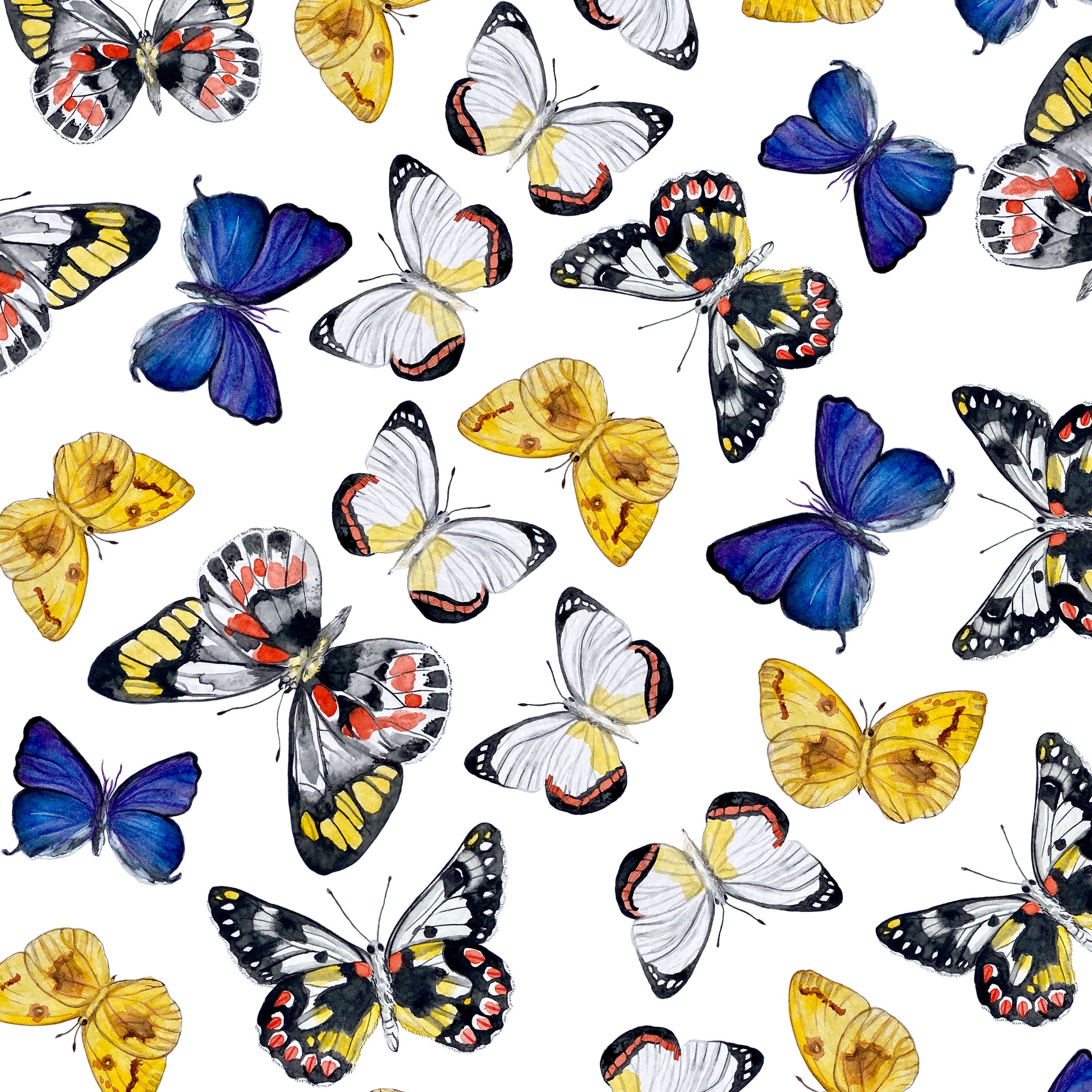 Butterflies white pattern preview.jpg