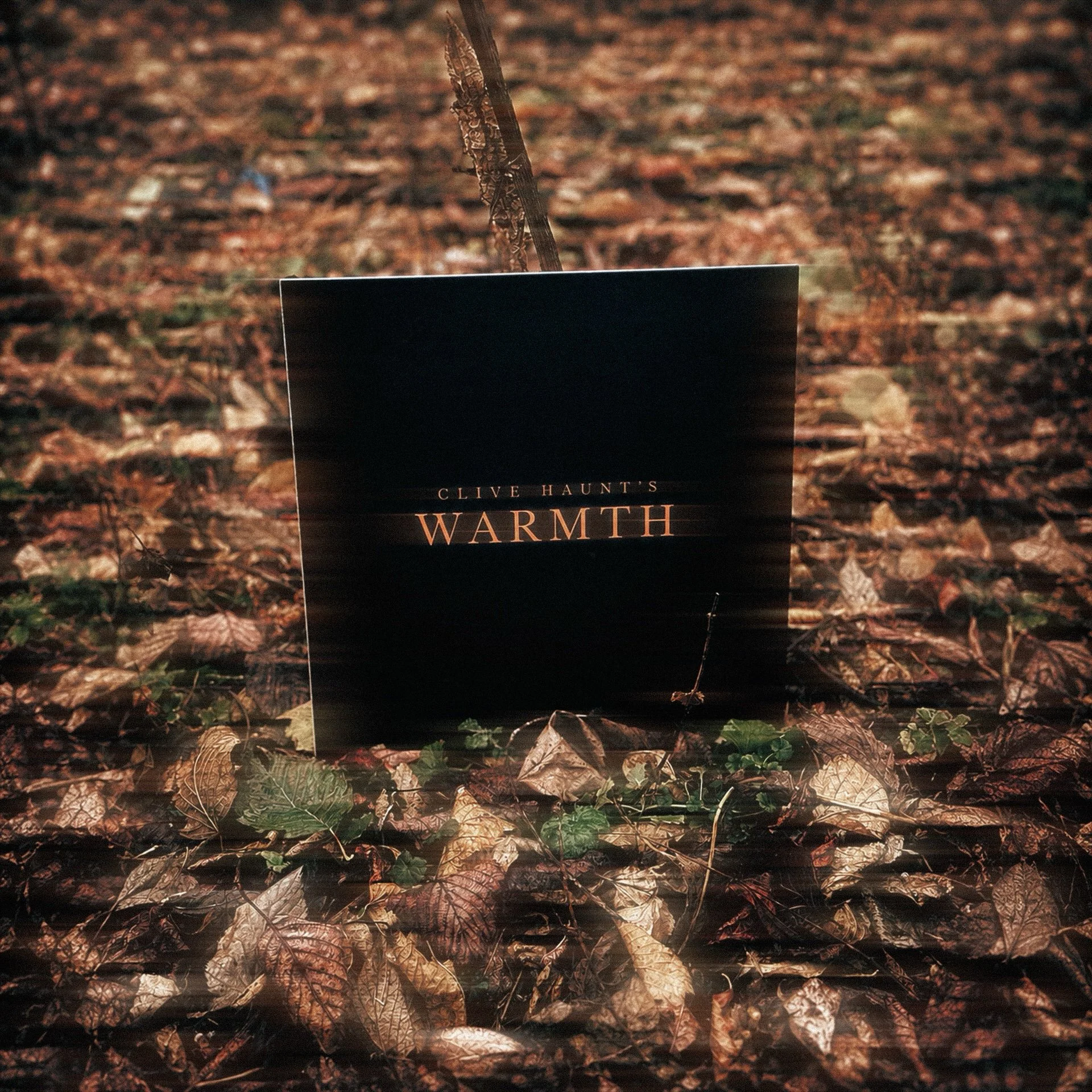 WARMTHVinyl2.JPG
