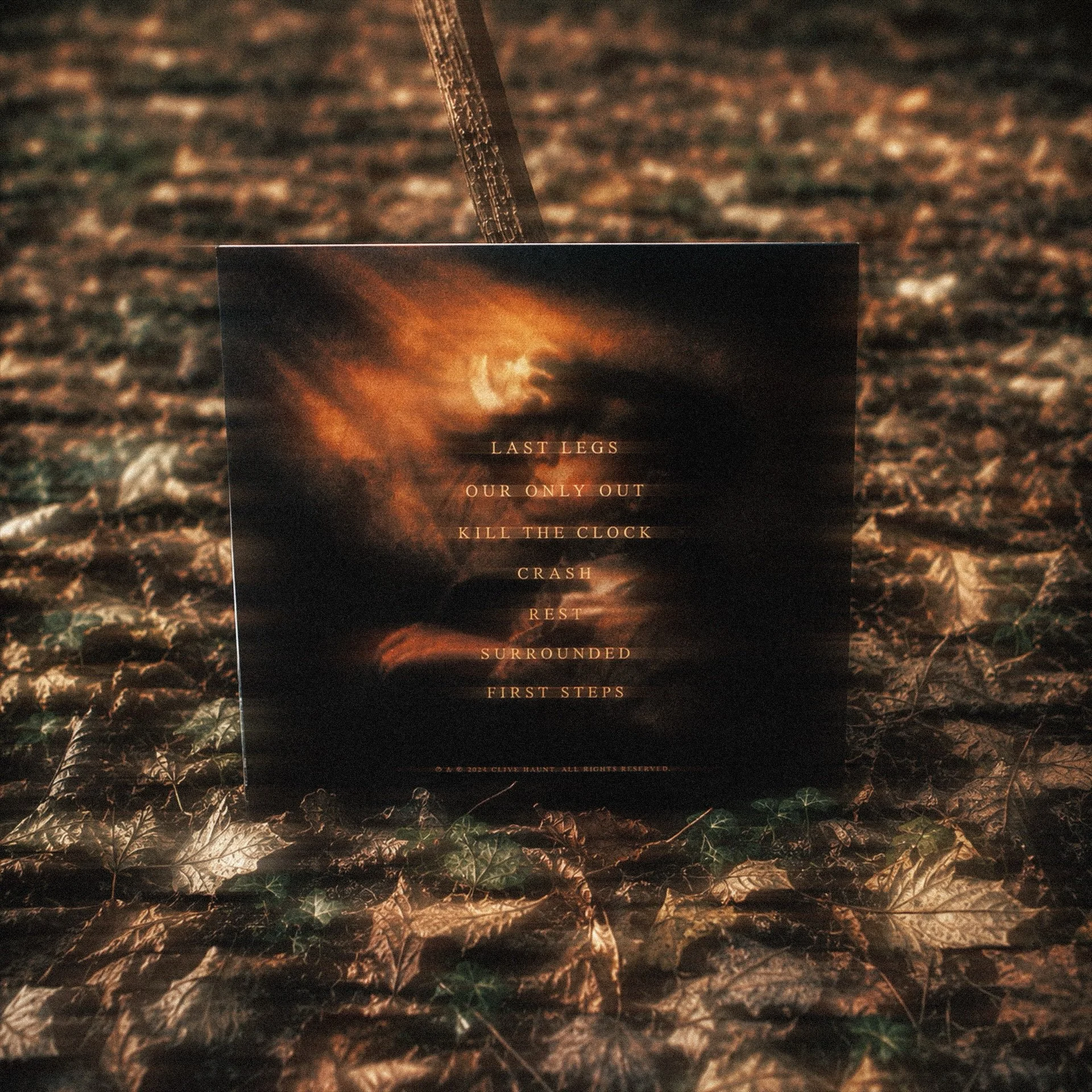 WARMTHVinyl3.JPG