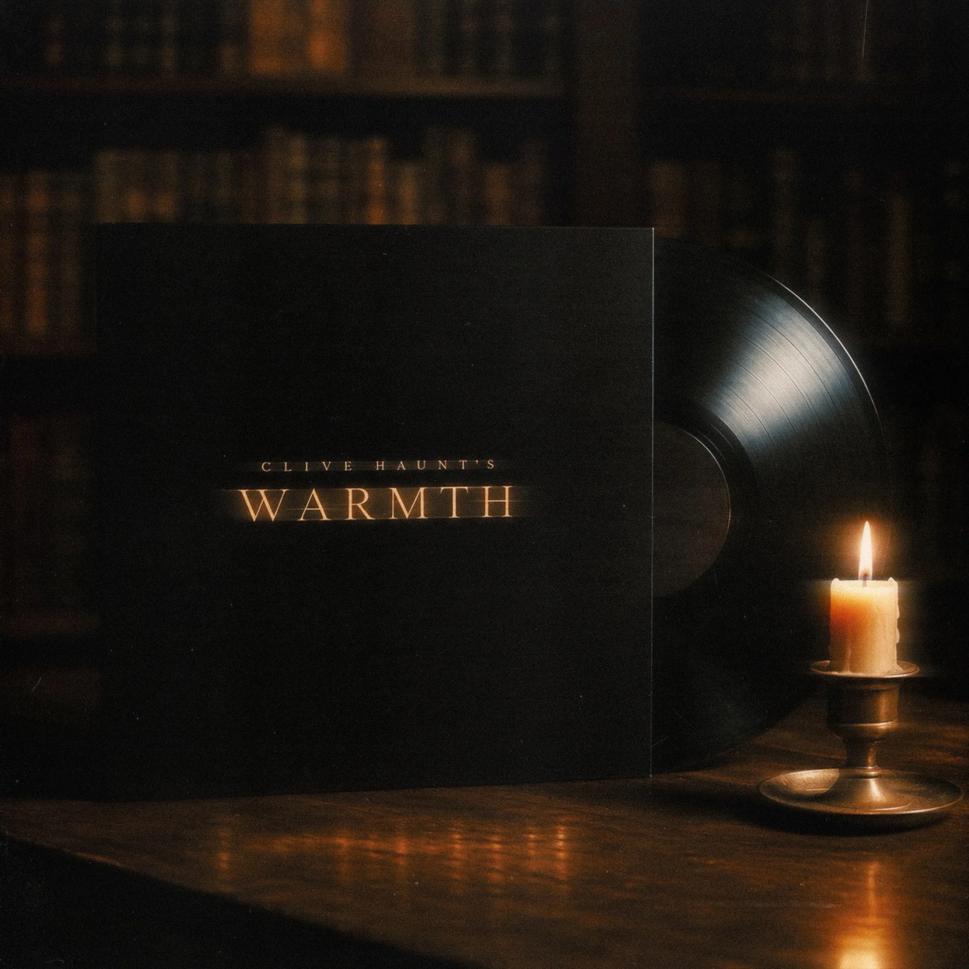 WARMTHVinyl.JPG