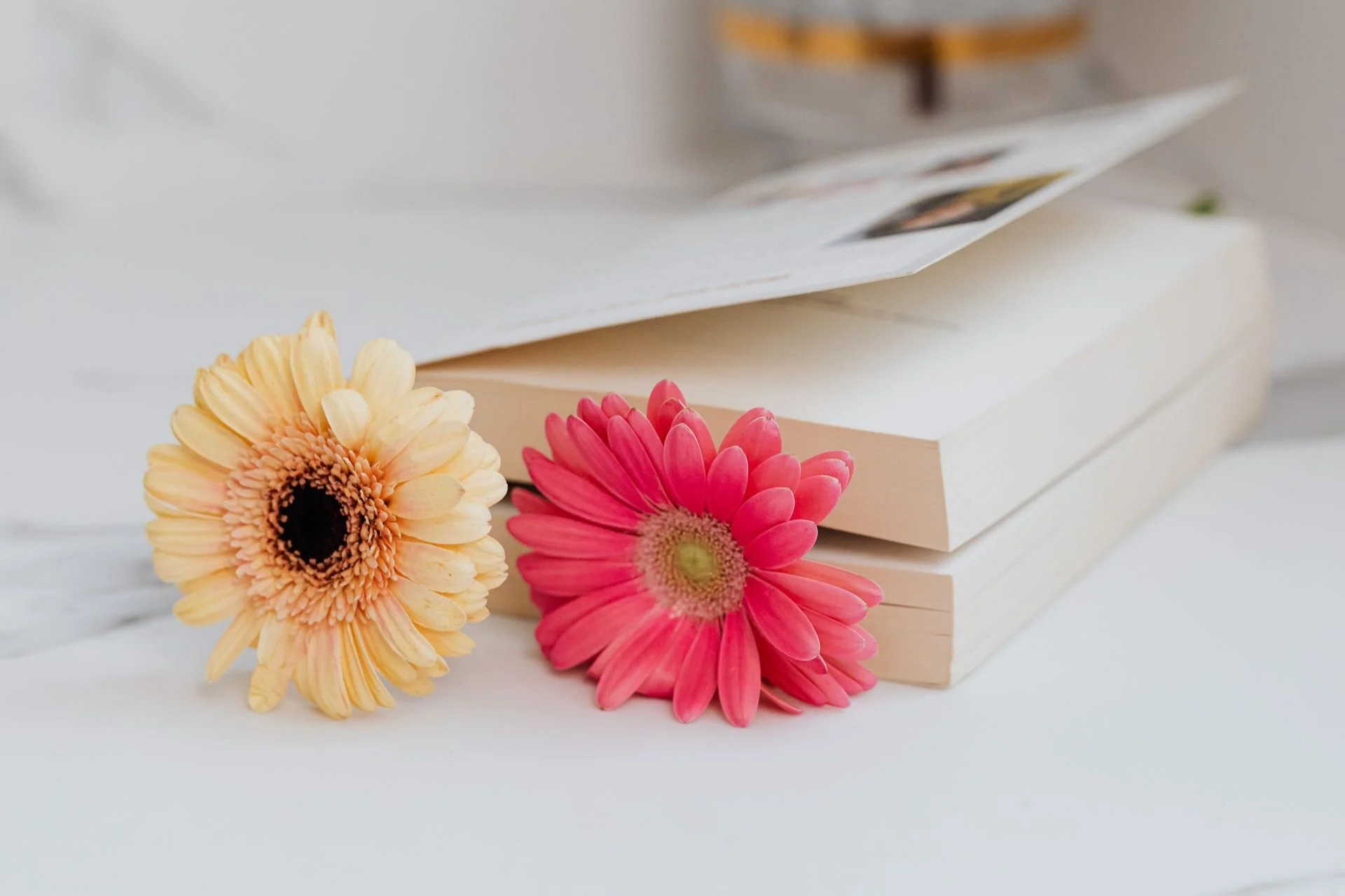 Book Covers for Soft Cover Books