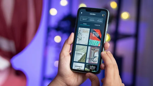 Reflowable vs Fixed Layout EPUB: Which Ebook Format is Right for You ...