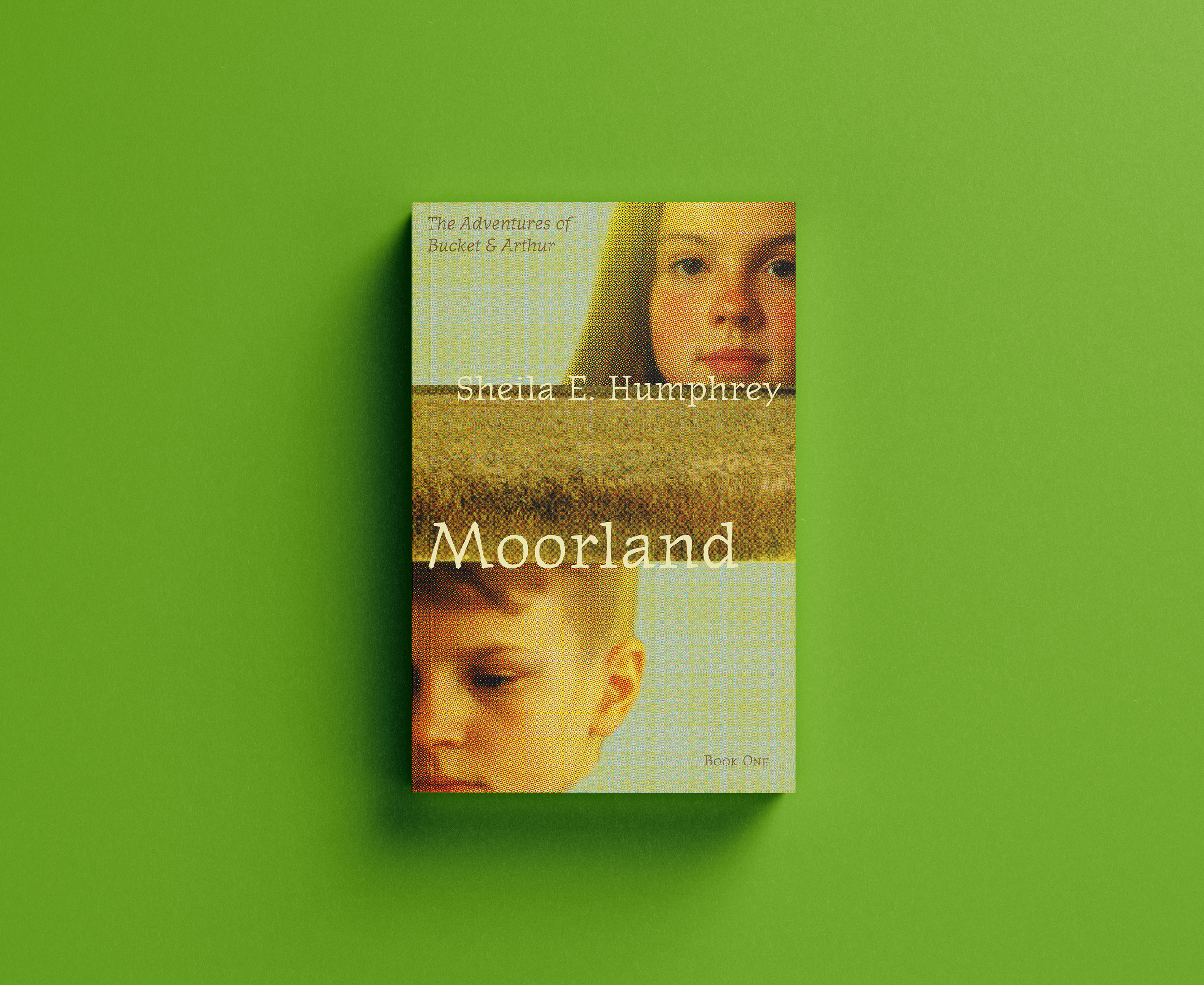 Moorland by Sheila E Humphrey
