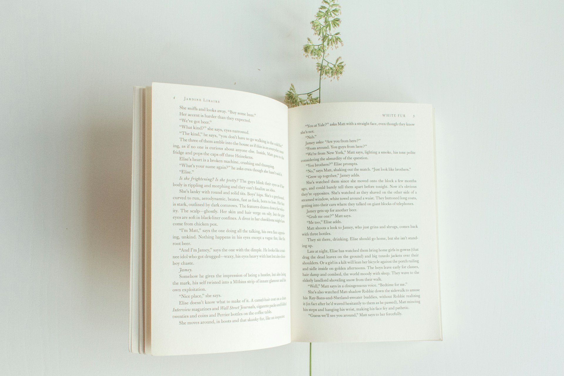 The Best Editing Services for Indie Authors in 2026