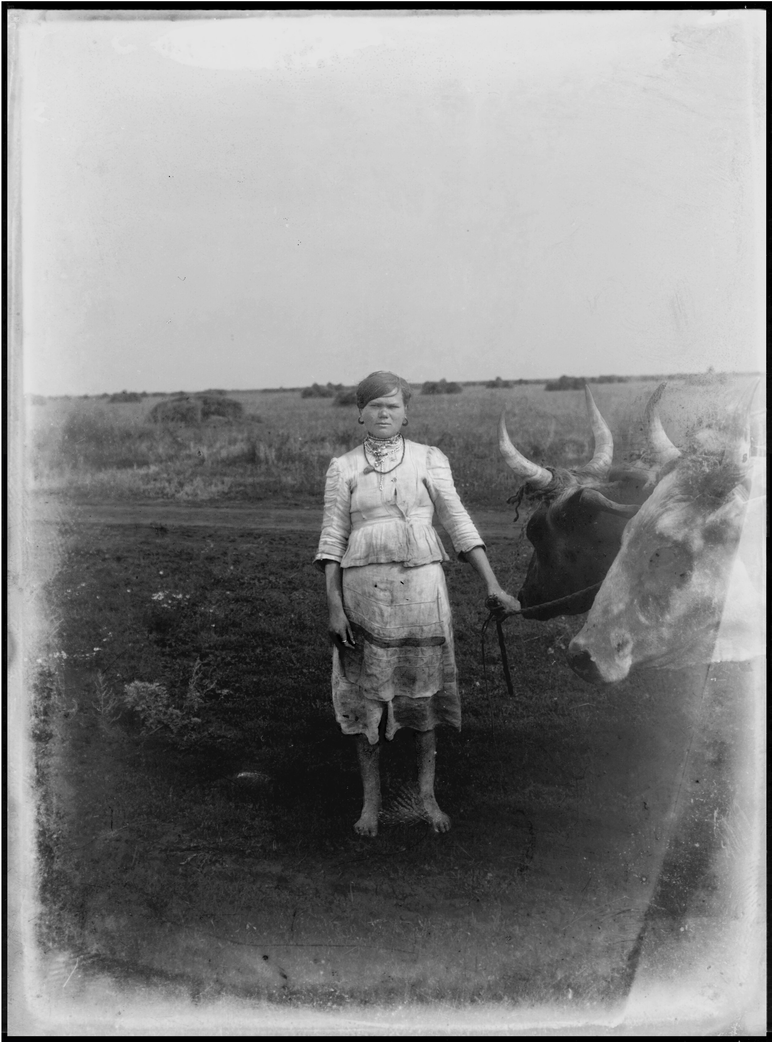 Farmer with oxen and family jewels    