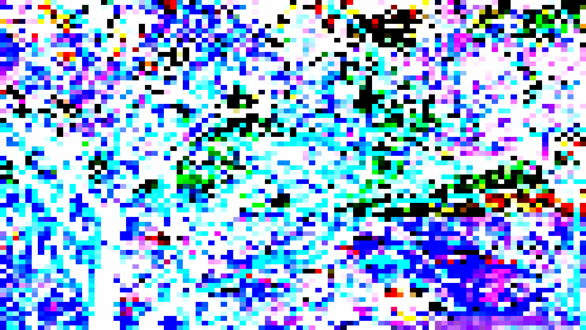 export5.png