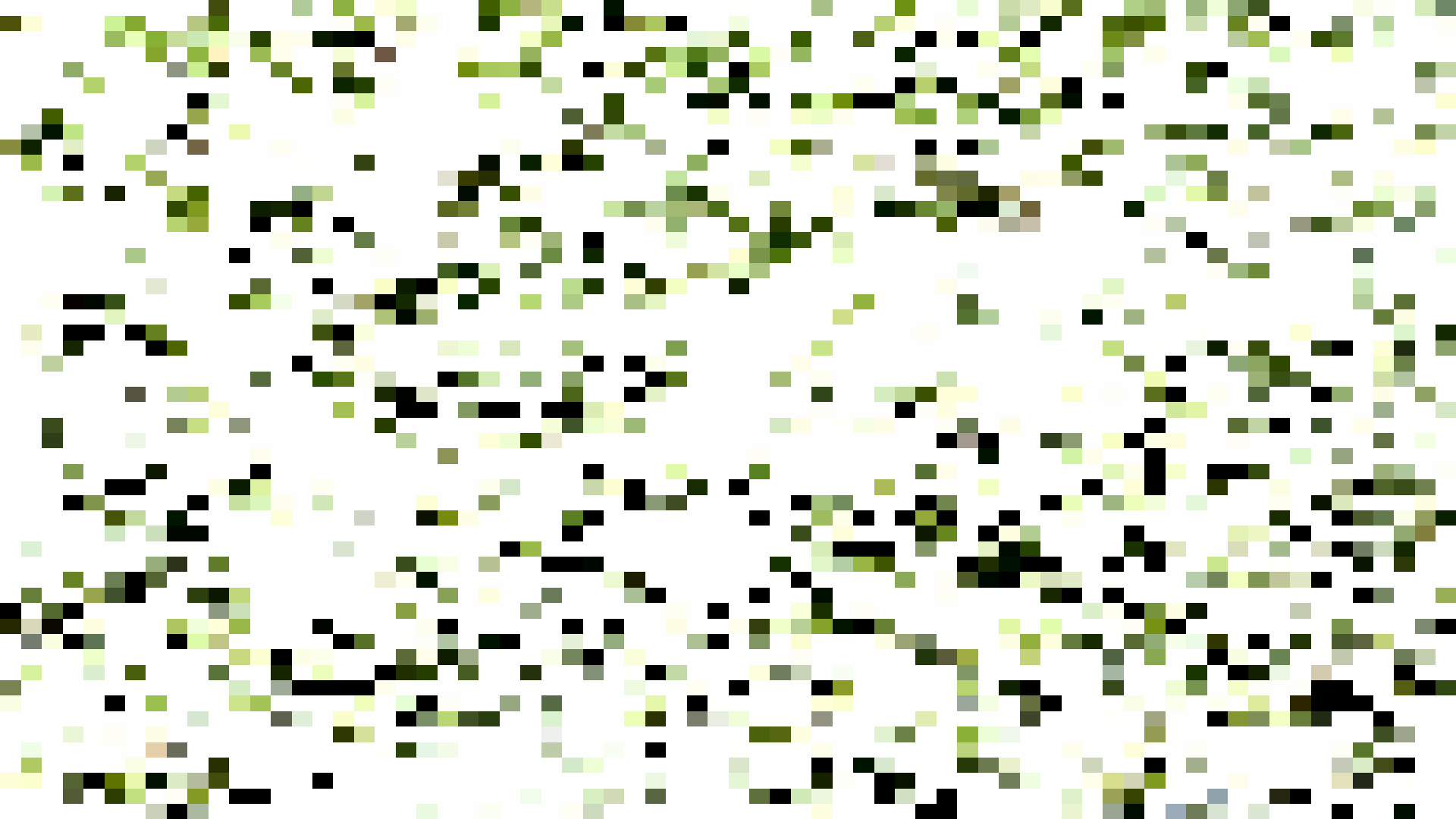 export10.png