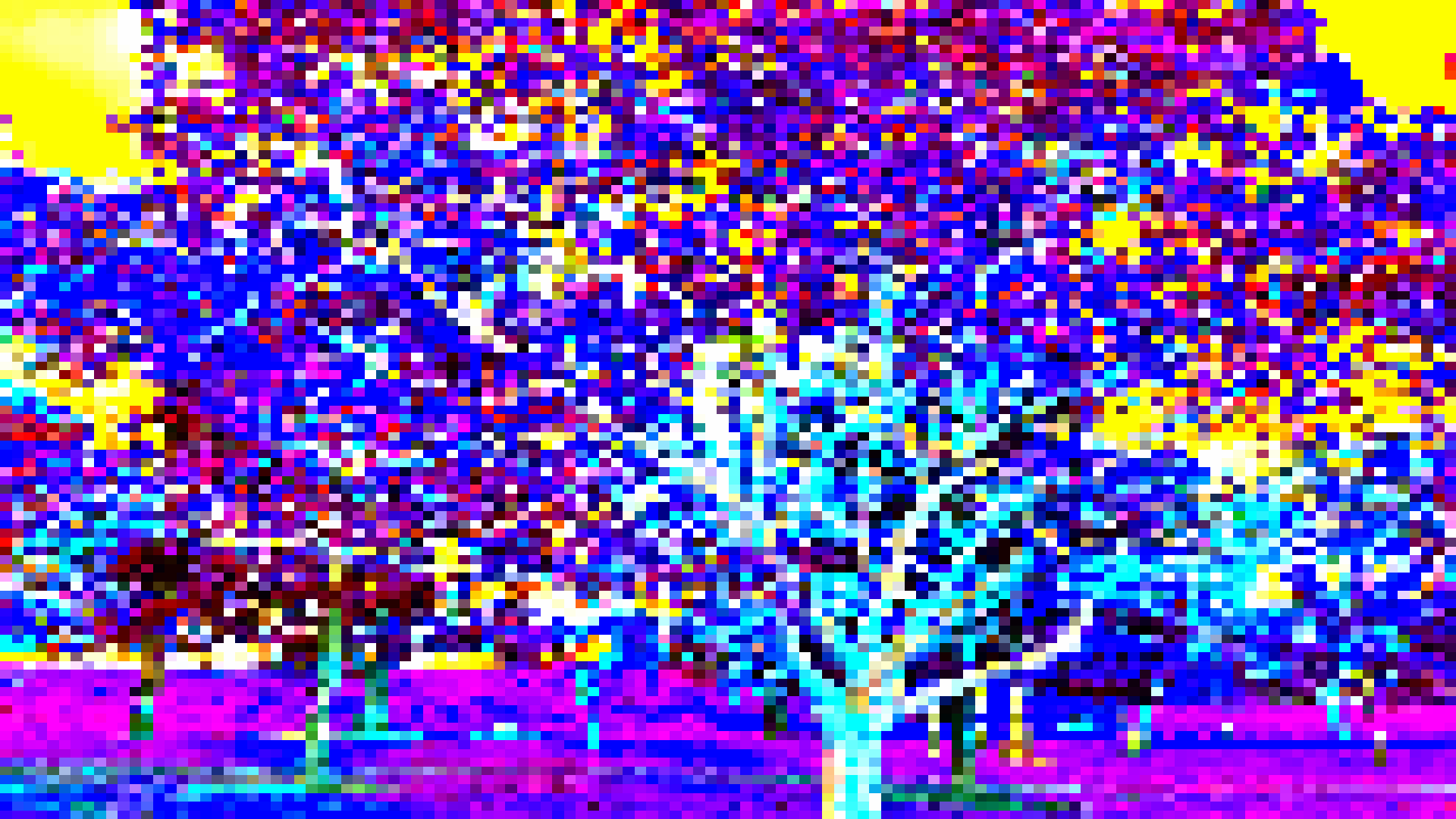 export12.png