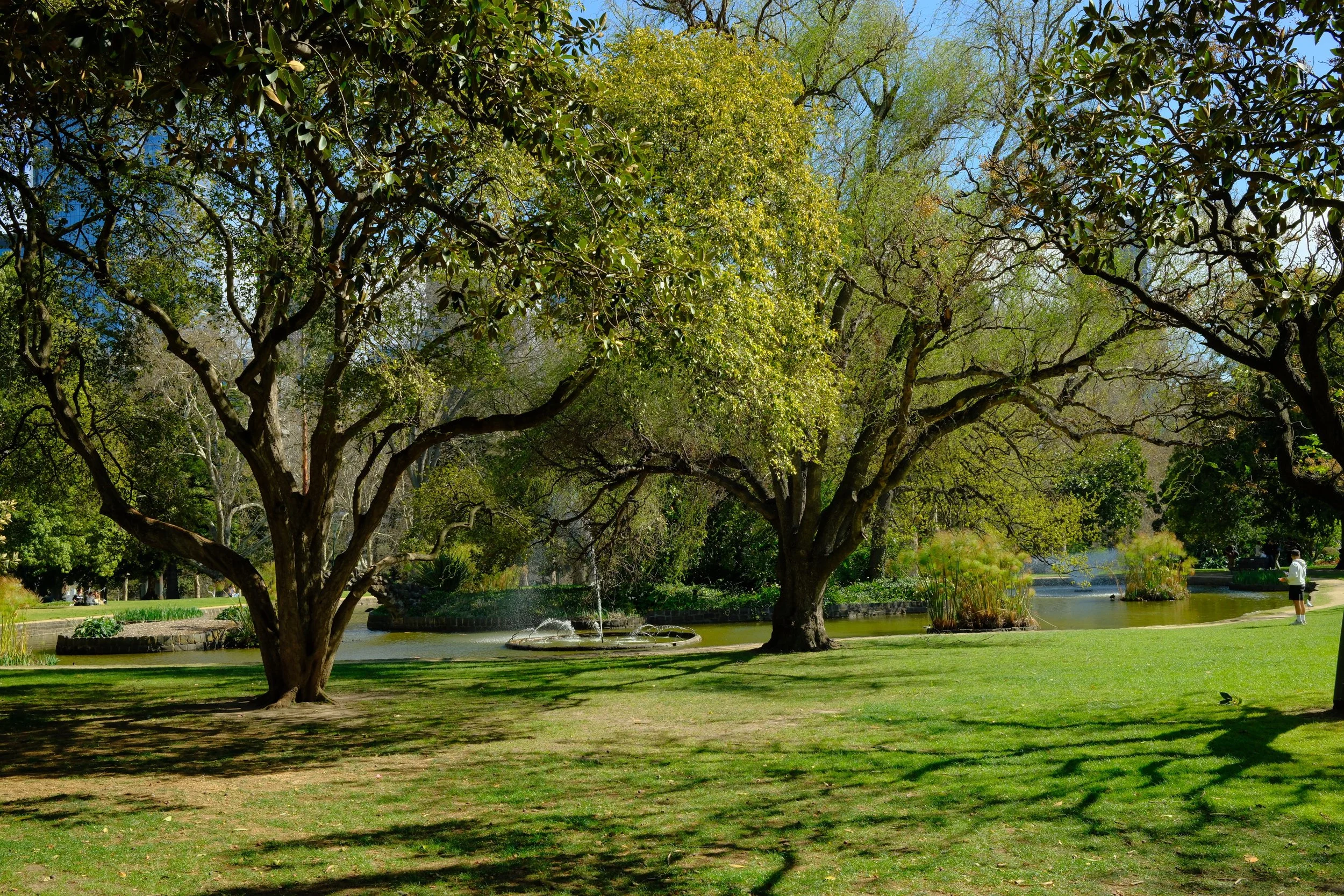DSCF0233.jpg