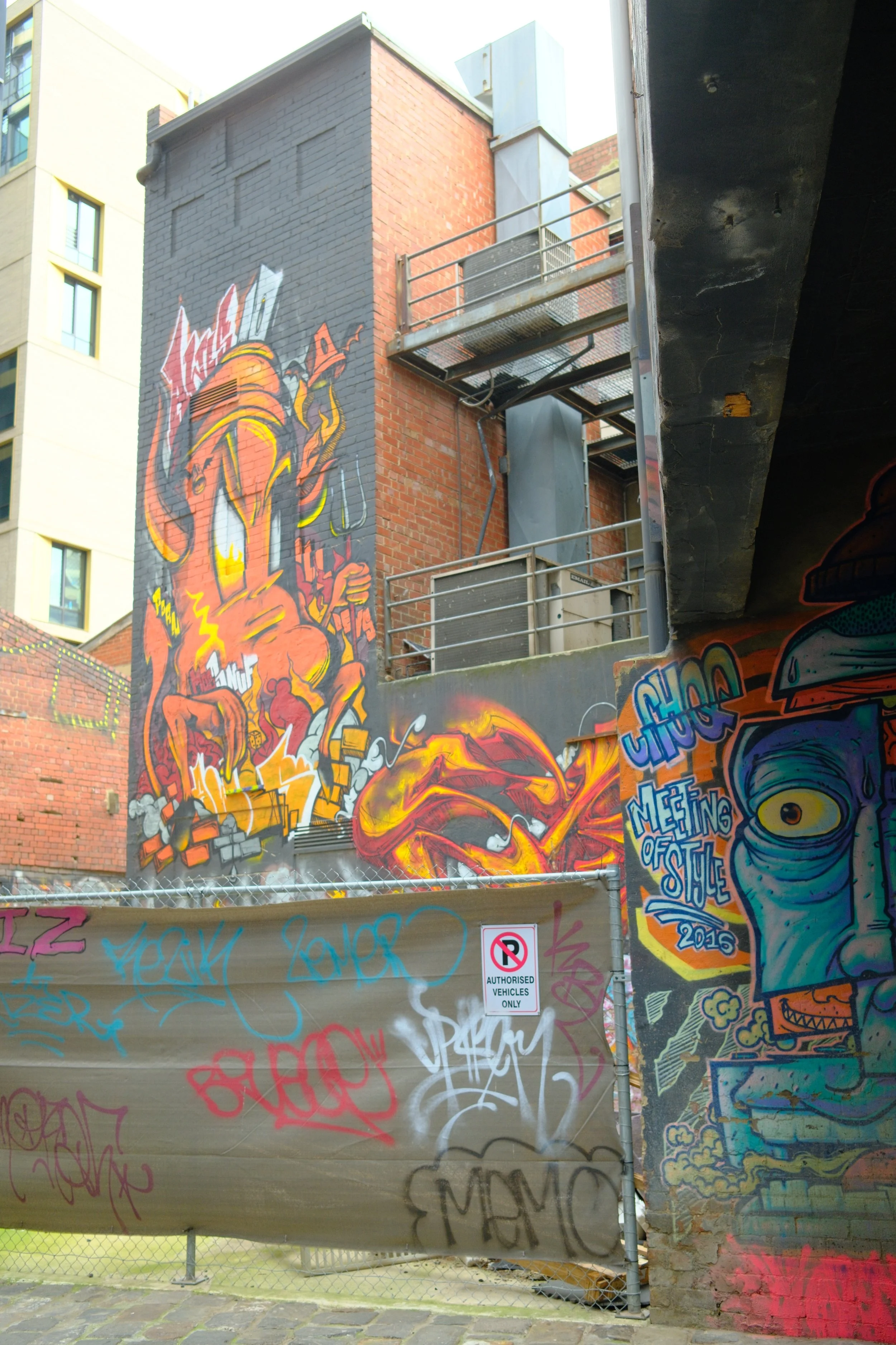 DSCF0250.jpg