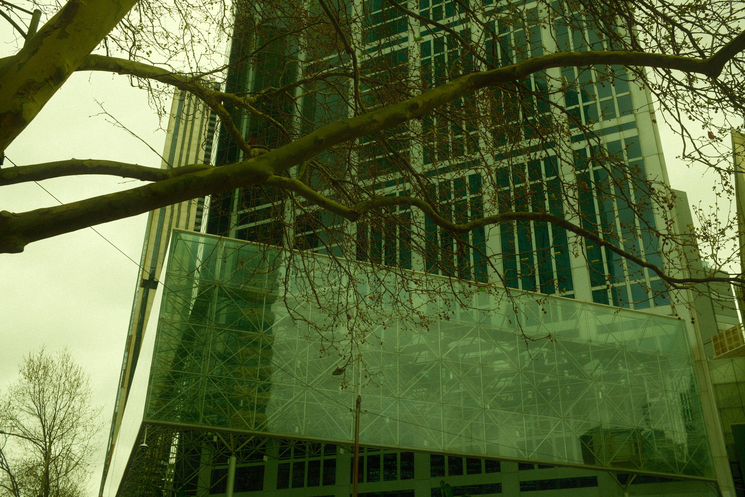 DSCF0247.jpg