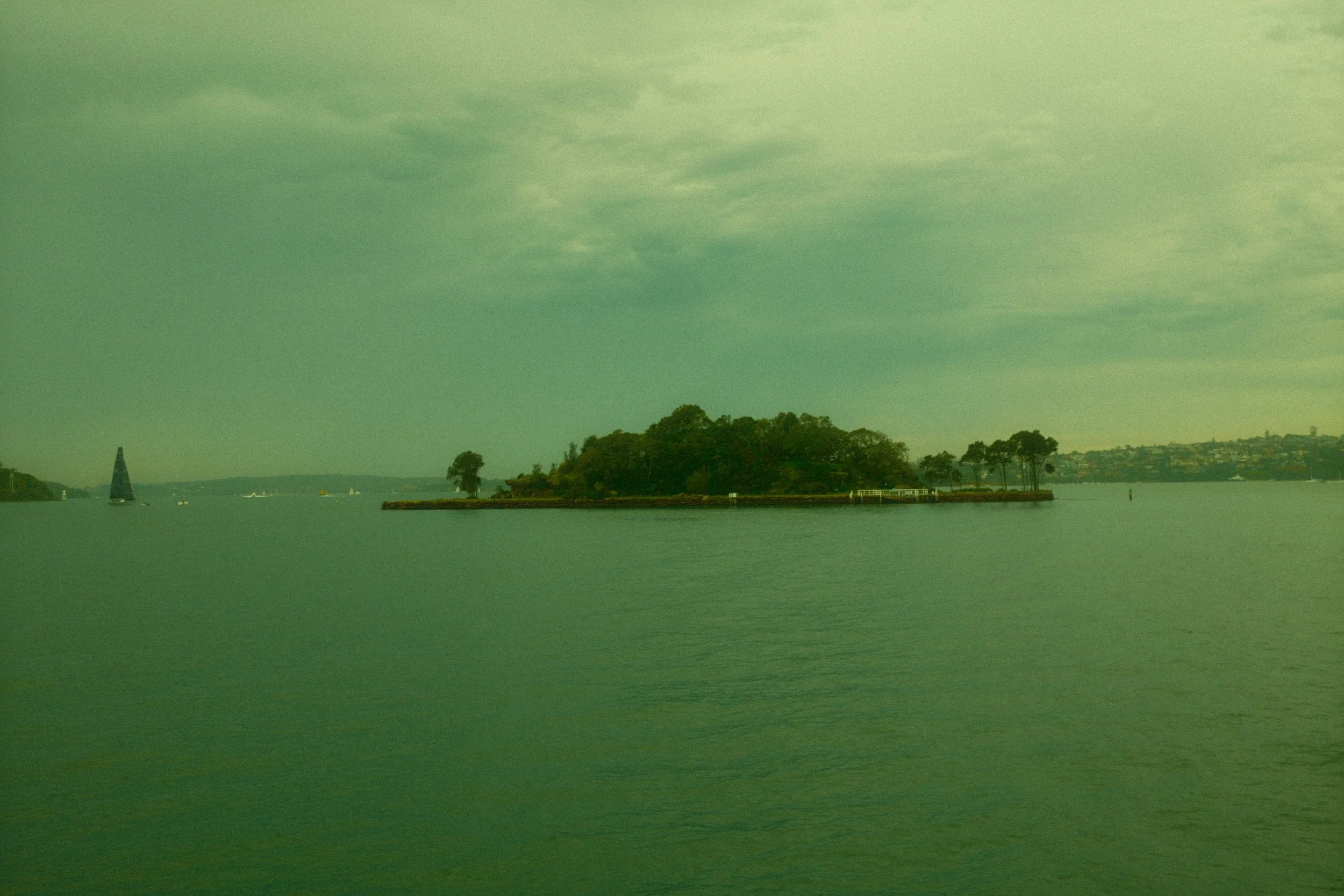 DSCF0297.jpg