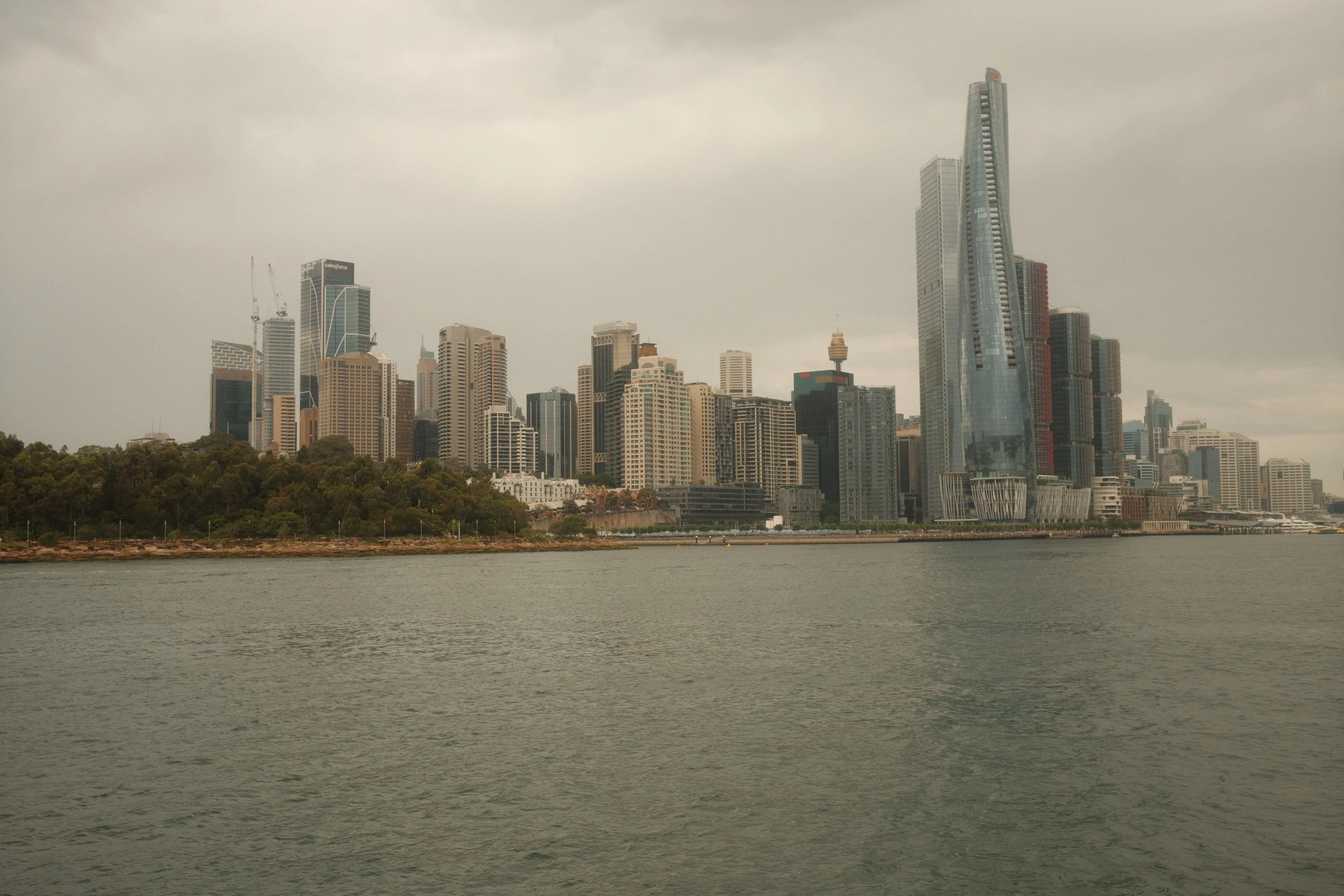 DSCF0314.jpg