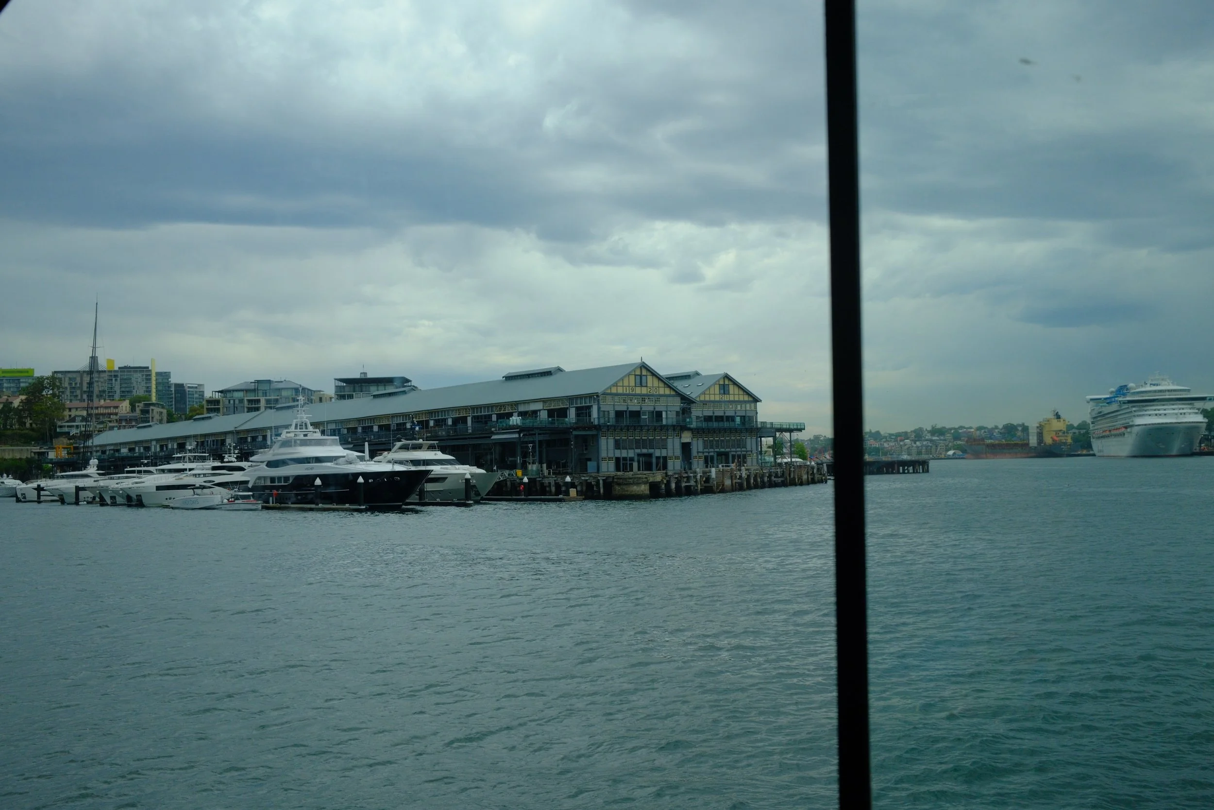 DSCF0316.jpg