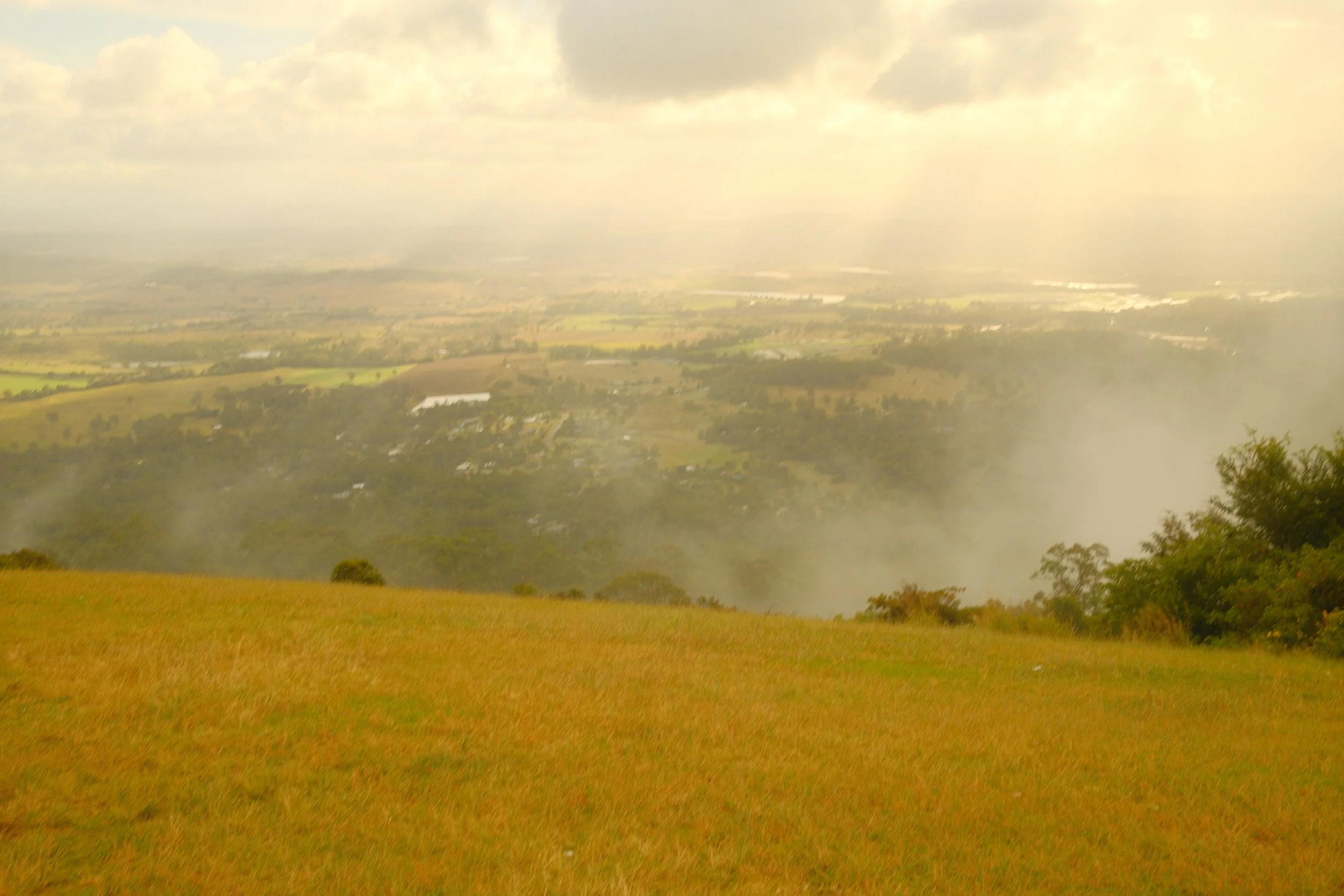 DSCF0387.jpg
